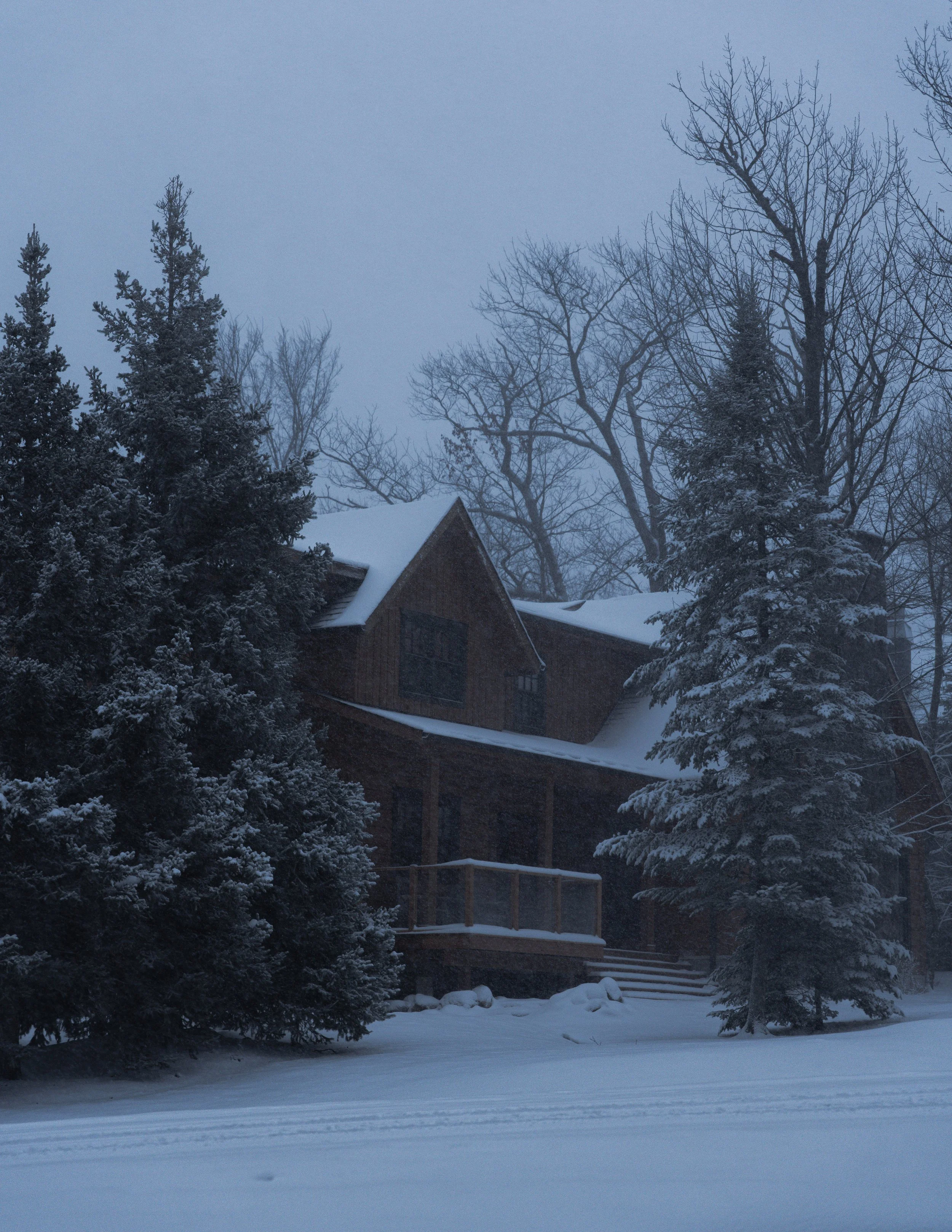 A snowy landscape with pine and deciduous trees, a house with a snow-covered roof, and a snow-covered ground during pre-dawn or dusk.