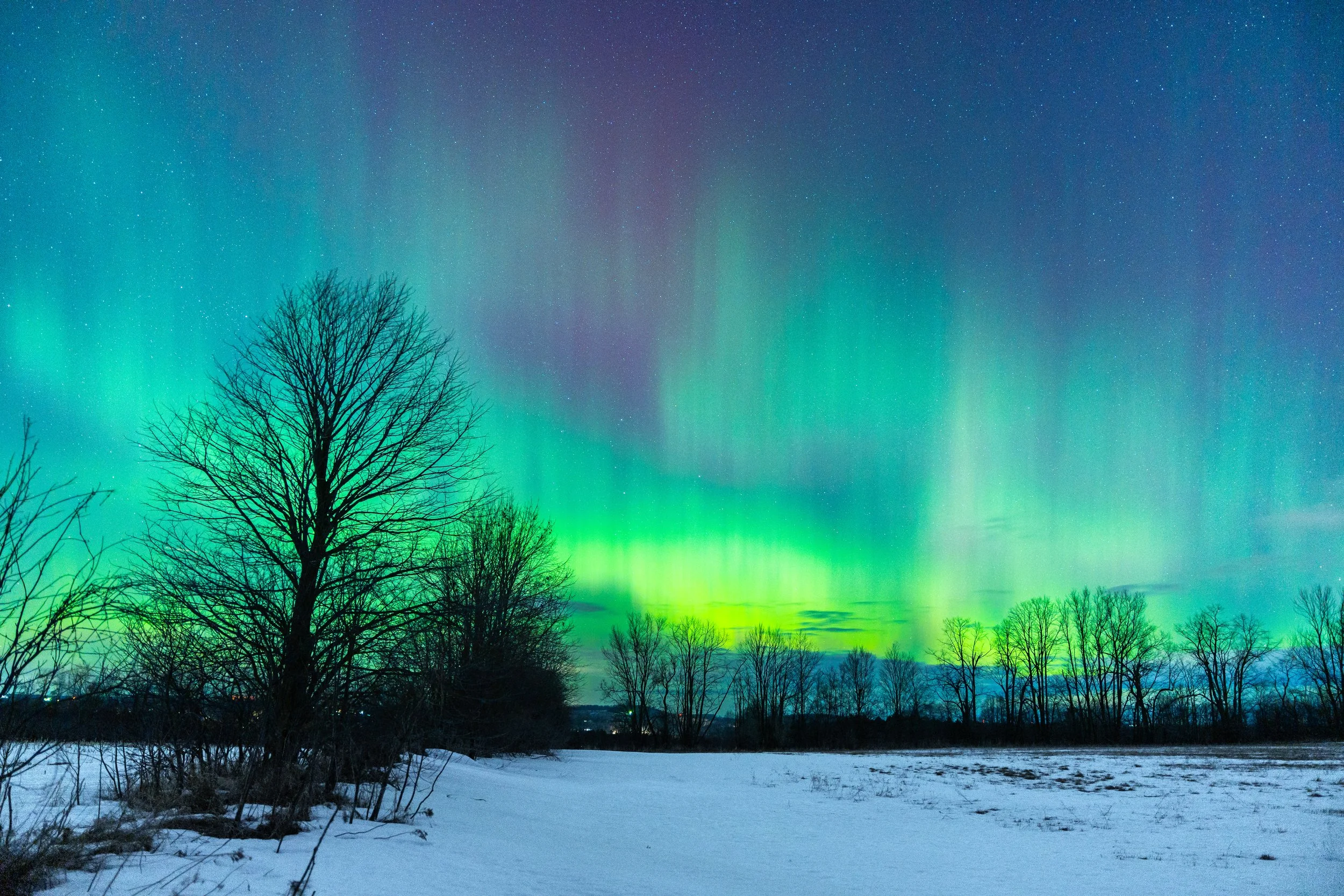 Northern lights (aurora borealis) illuminating a night sky with stars, over a snow-covered landscape with leafless trees.