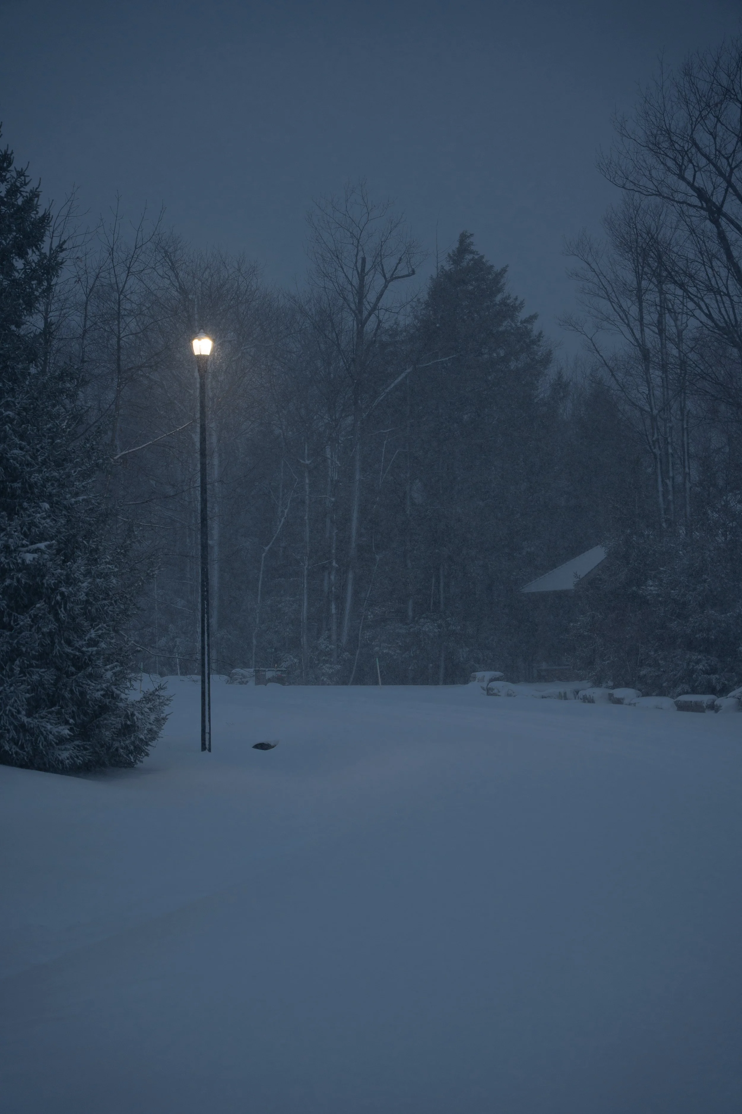 A snowy landscape at night with snow-covered ground, leafless trees, and a streetlamp illuminating a small area.