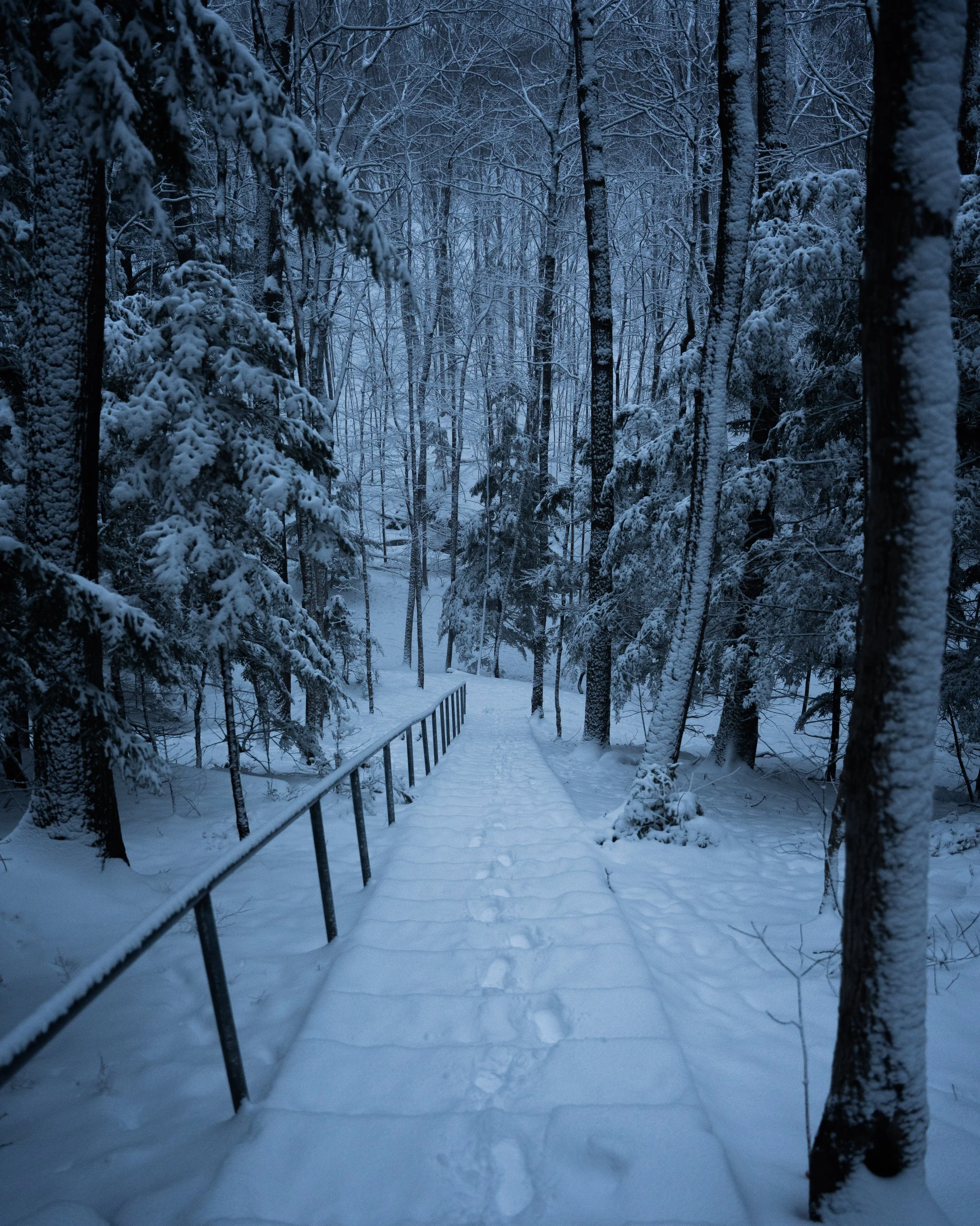 Snow-covered pathway in a dense forest during winter, with trees laden with snow and footprints on the snow.