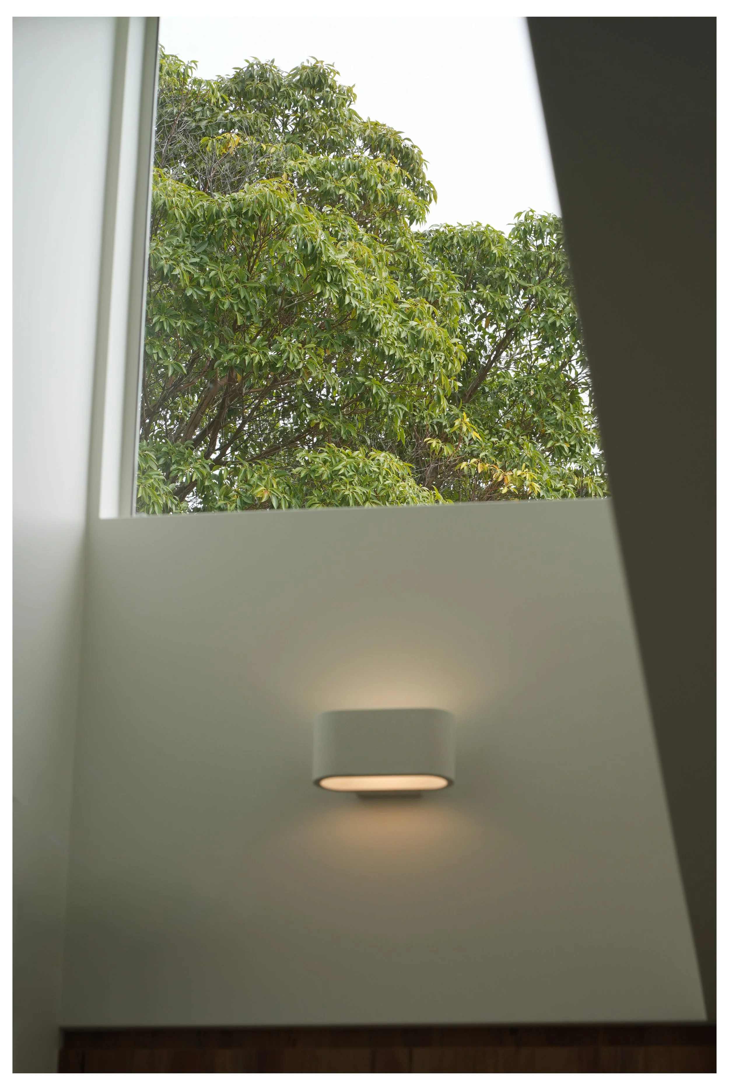 View of green leafy tree outside through a skylight window in a modern interior ceiling with a recessed ceiling light.
