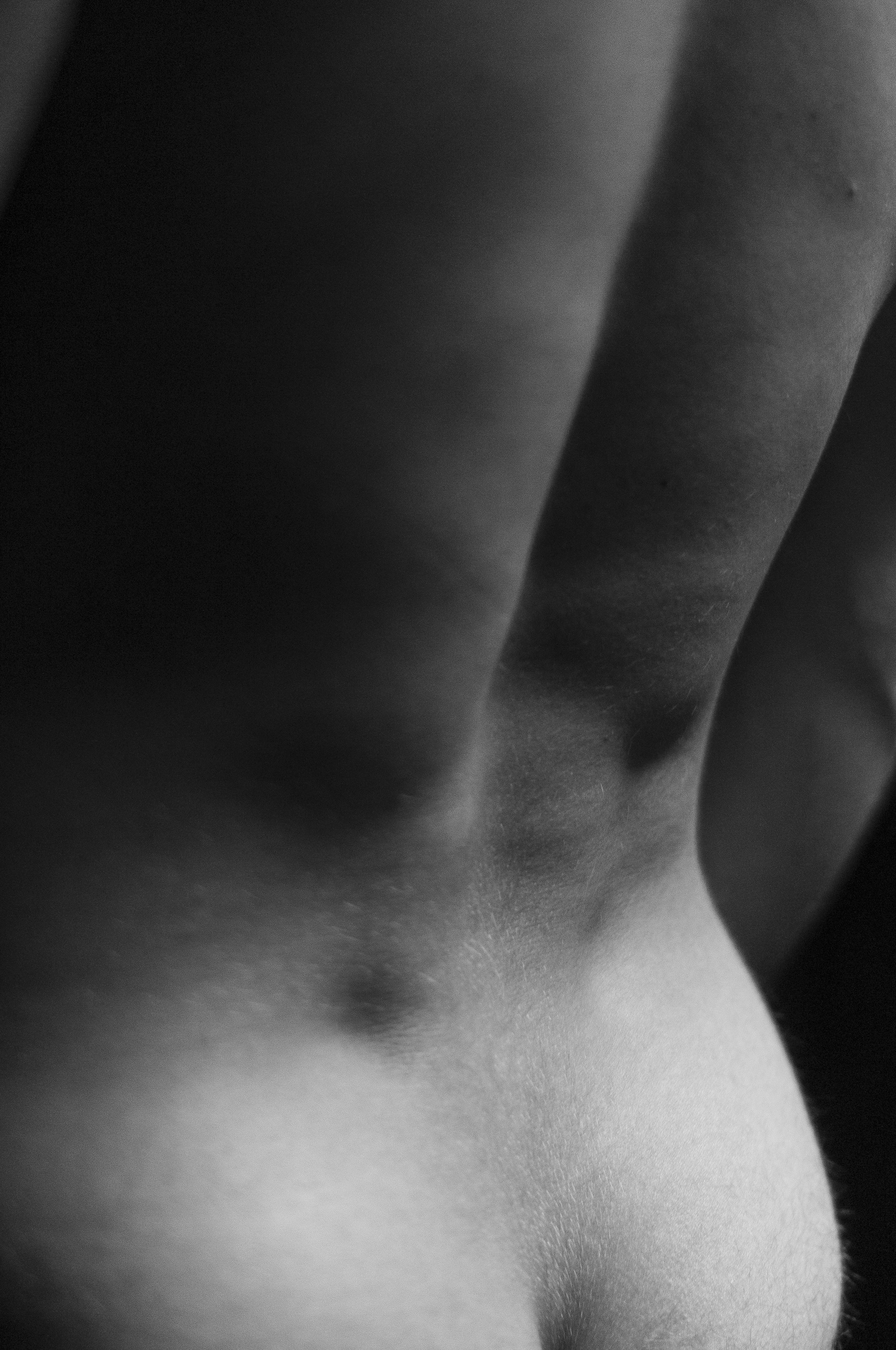 DSC_3761.jpg