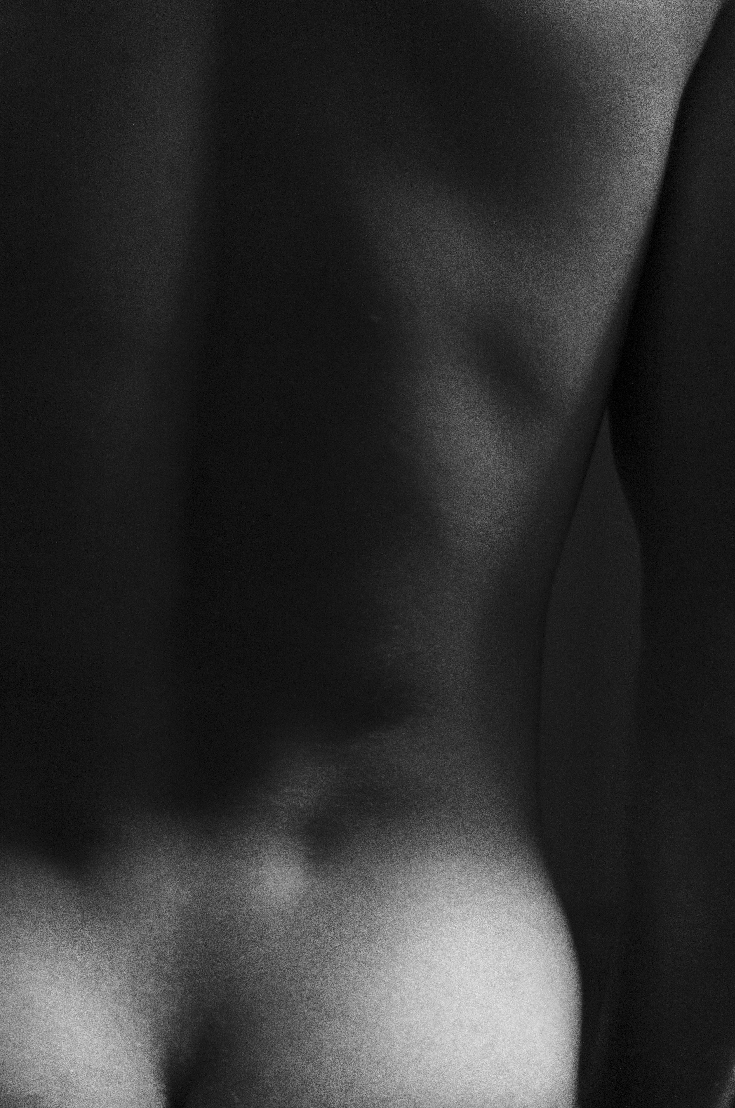 DSC_3764.jpg