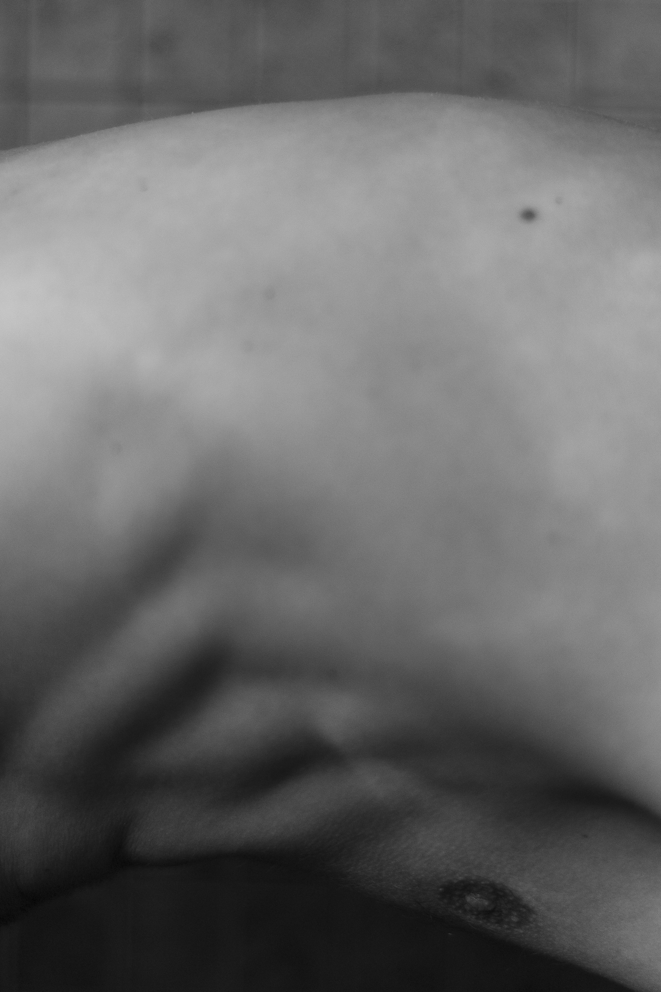 DSC_3892.jpg