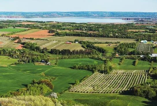 Landscape view of Annapolis valley