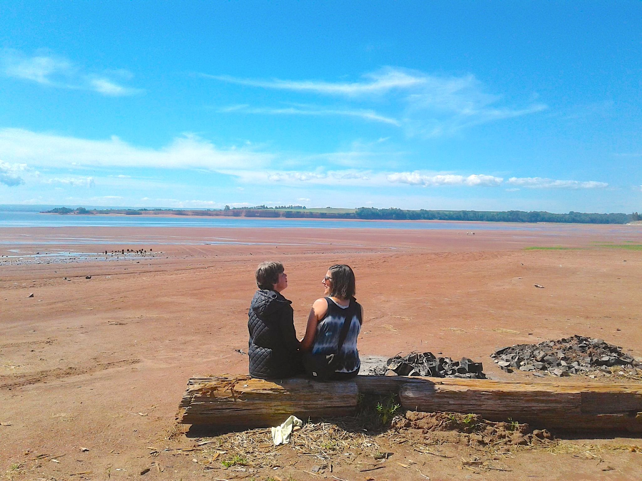 Two women sitting on a dead tree on a beach, looking at each other, smiling. Blue skies, sunny. (Copy)
