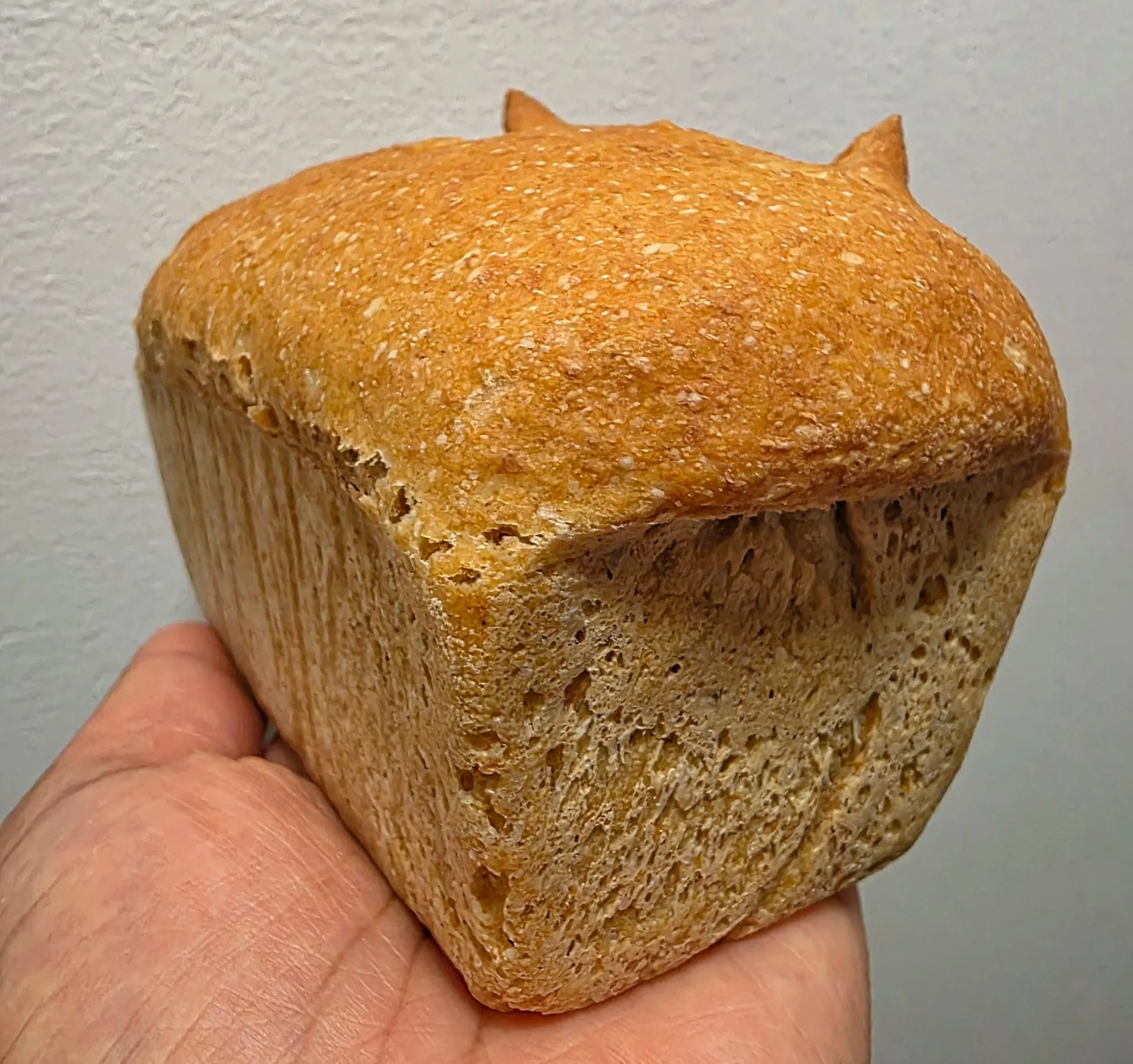 Ancientloaf.jpg