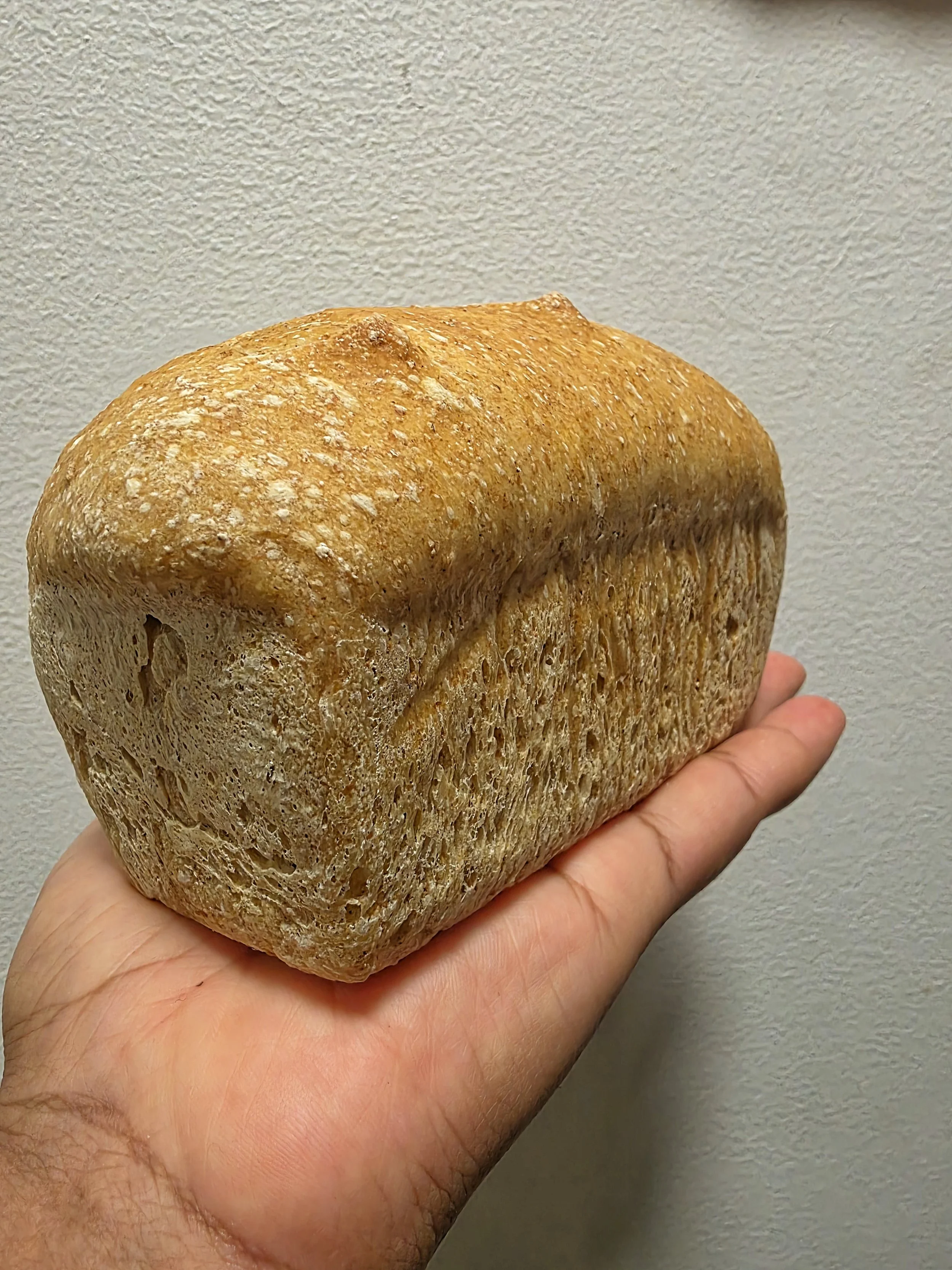 Mini Whole Wheat Sourdough Loaf - Market Pre-Order