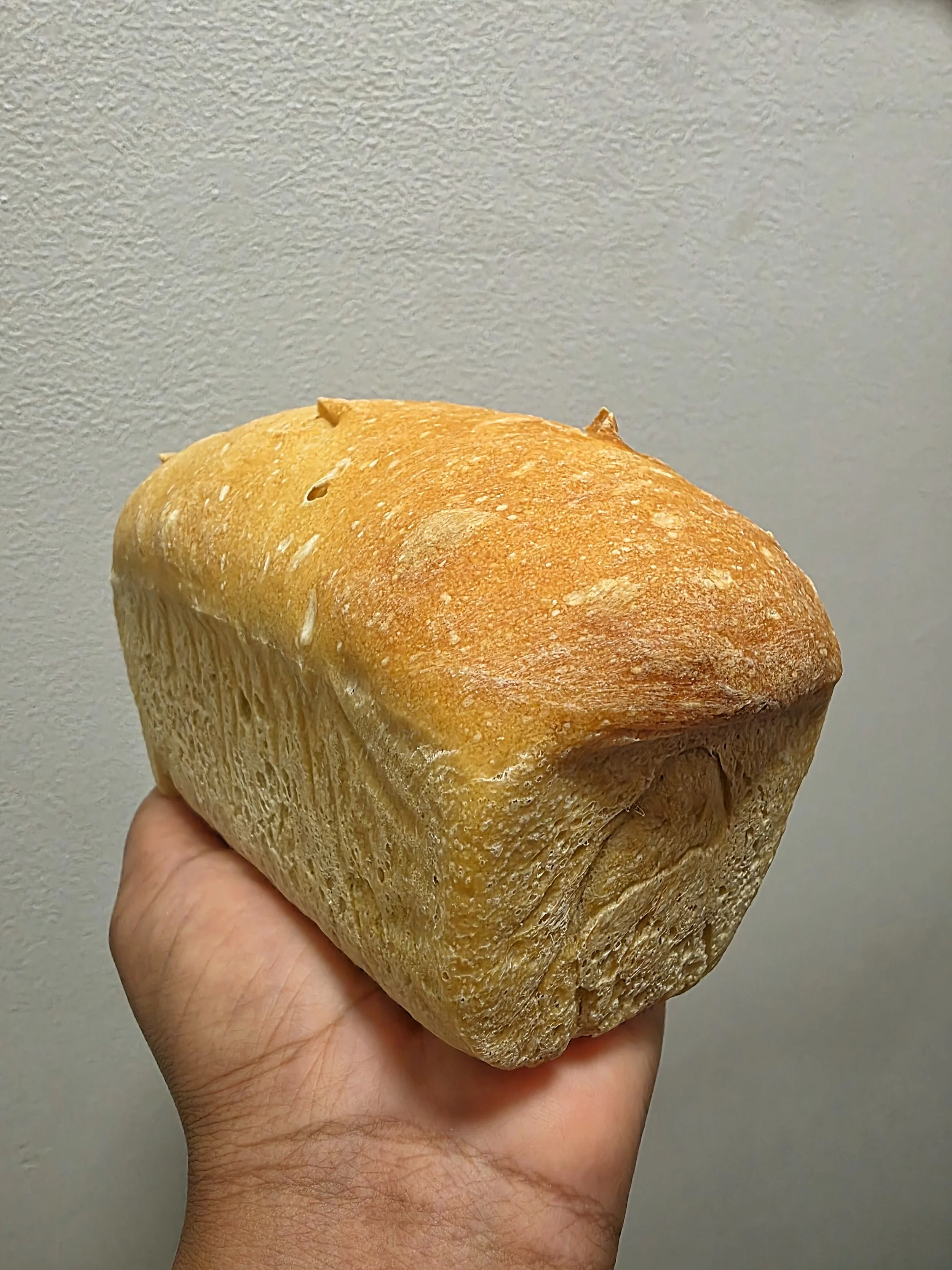 Mini White Sourdough Loaf - Market Pre-Order