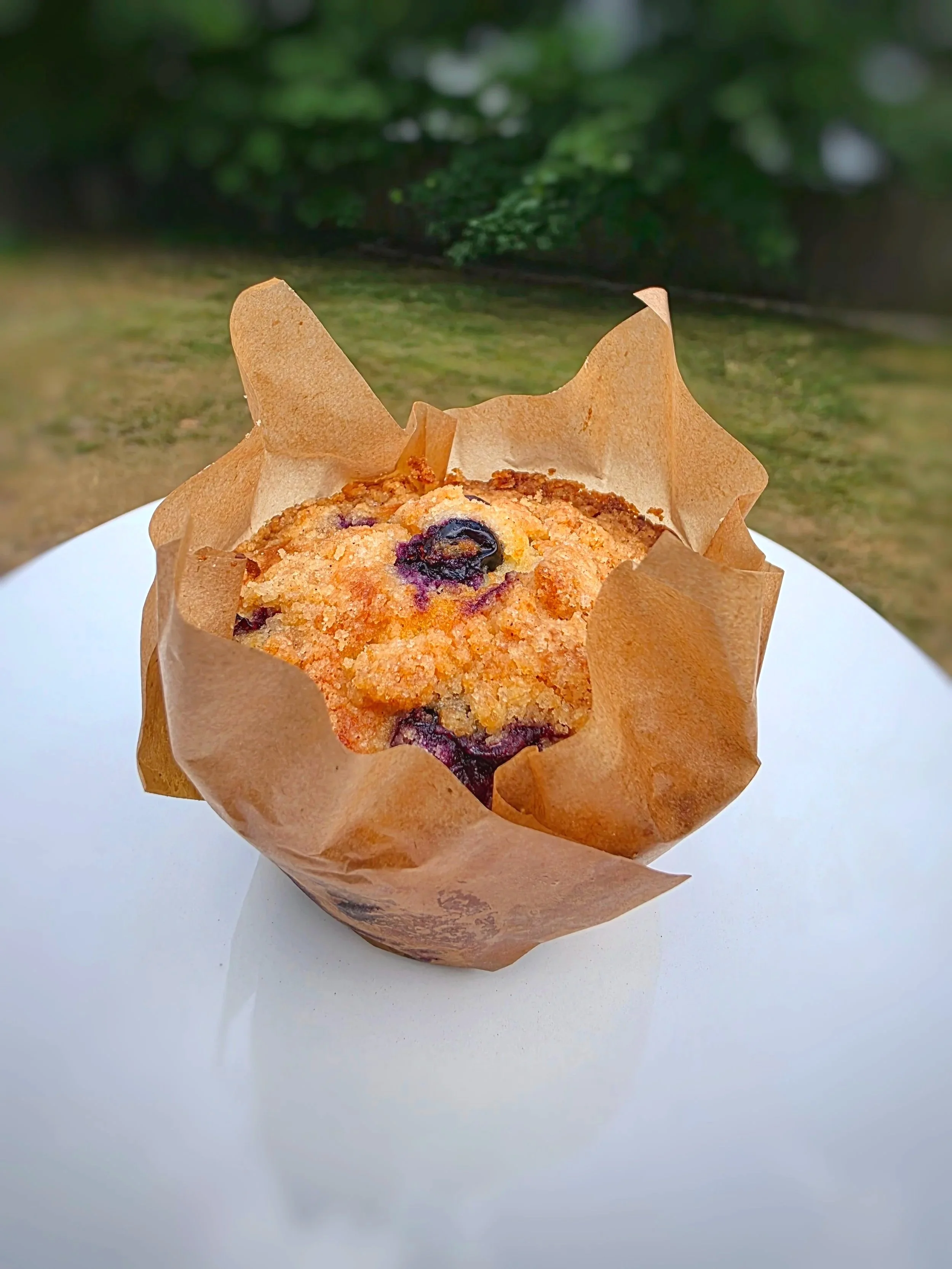 Lemon Blueberry Muffin