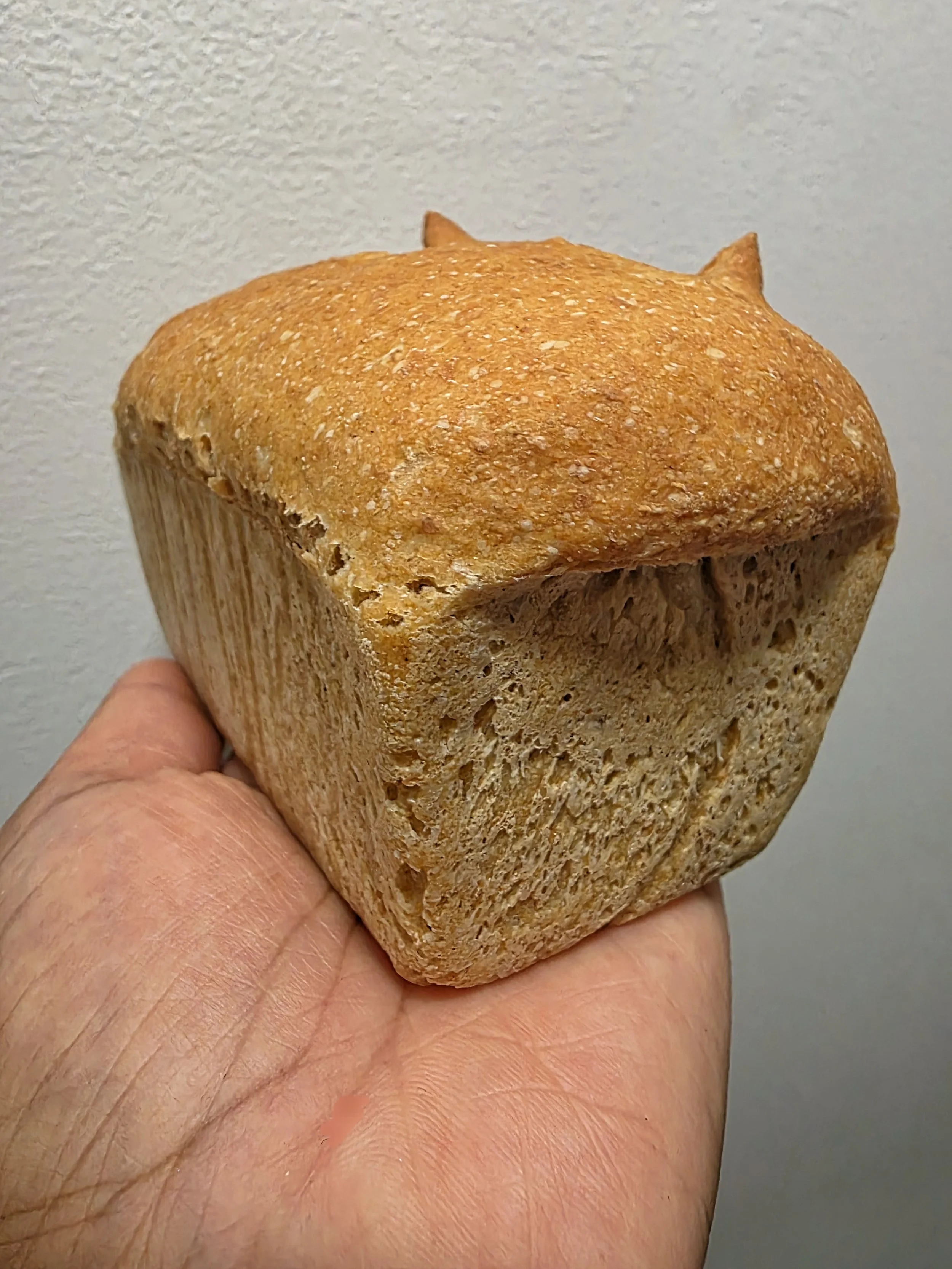 Mini Ancient Grain Sourdough Loaf - Market Pre-Order