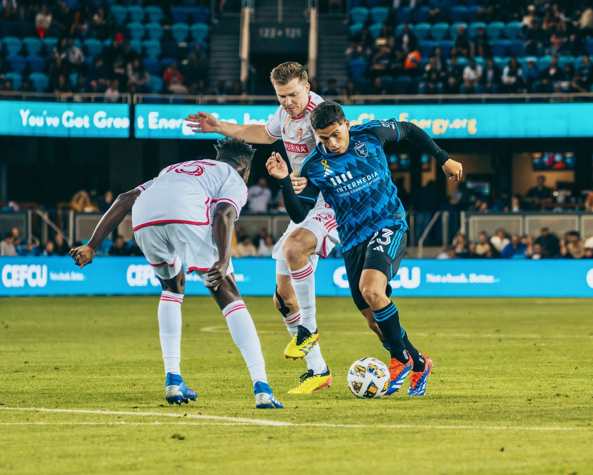 DSC_7377-Enhanced-NR 2.jpg