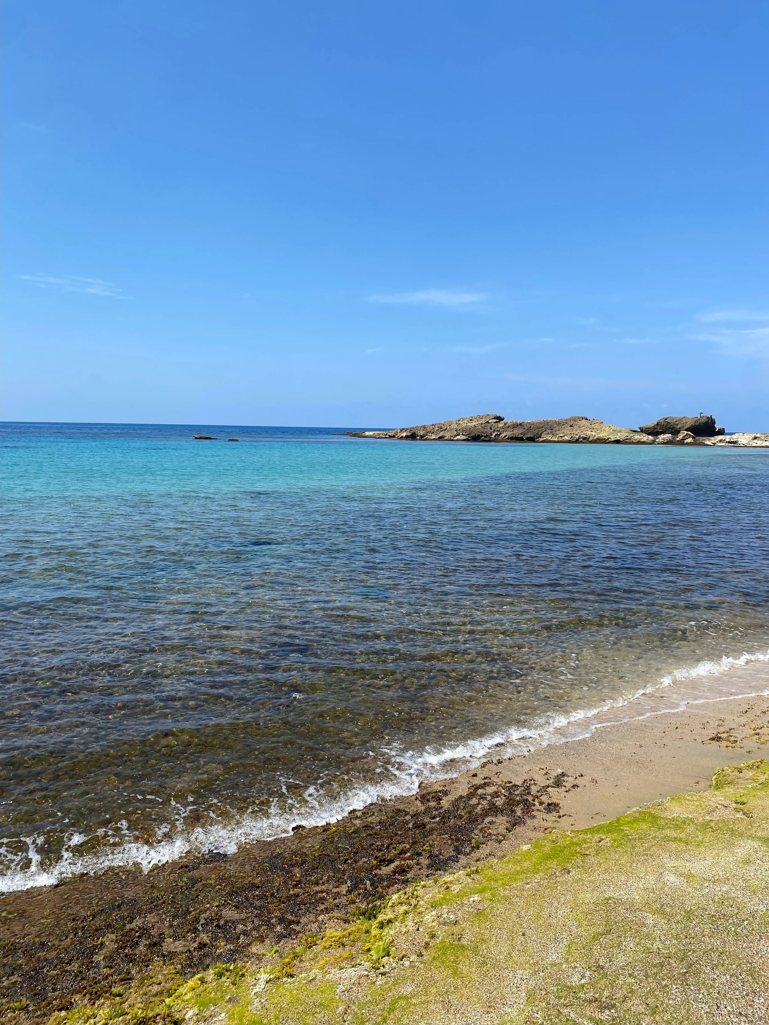 IMG_9812.jpeg