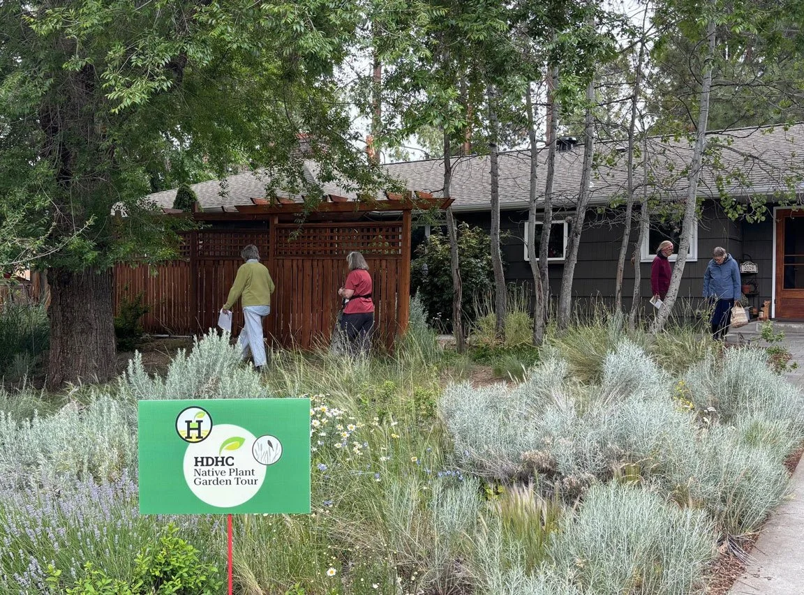Four people walking through a garden area with native plants, trees, and a wooden structure, near a house, during daytime.