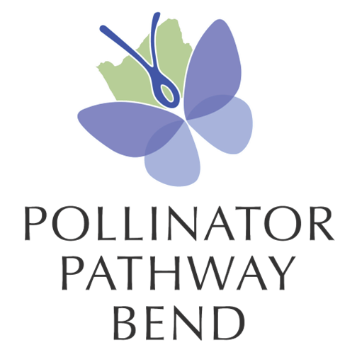 Logo for the Polnauer Palomy Bend featuring a purple butterfly with green and blue highlights and scissors, with the text below.