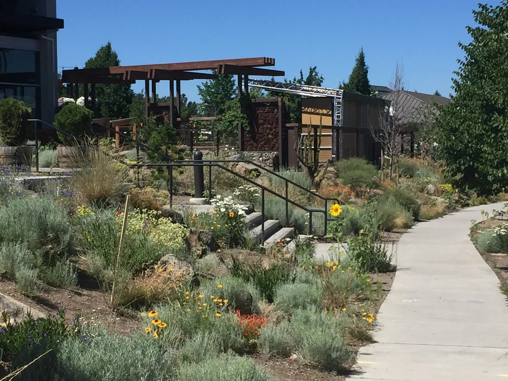 High Desert Horticulture | Propagation, Education, Conservation