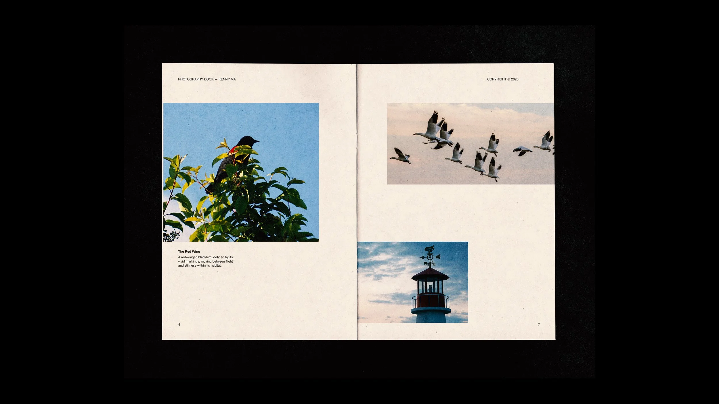 photography book4.jpg