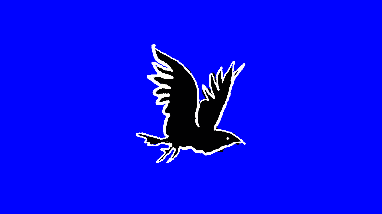 bird.gif