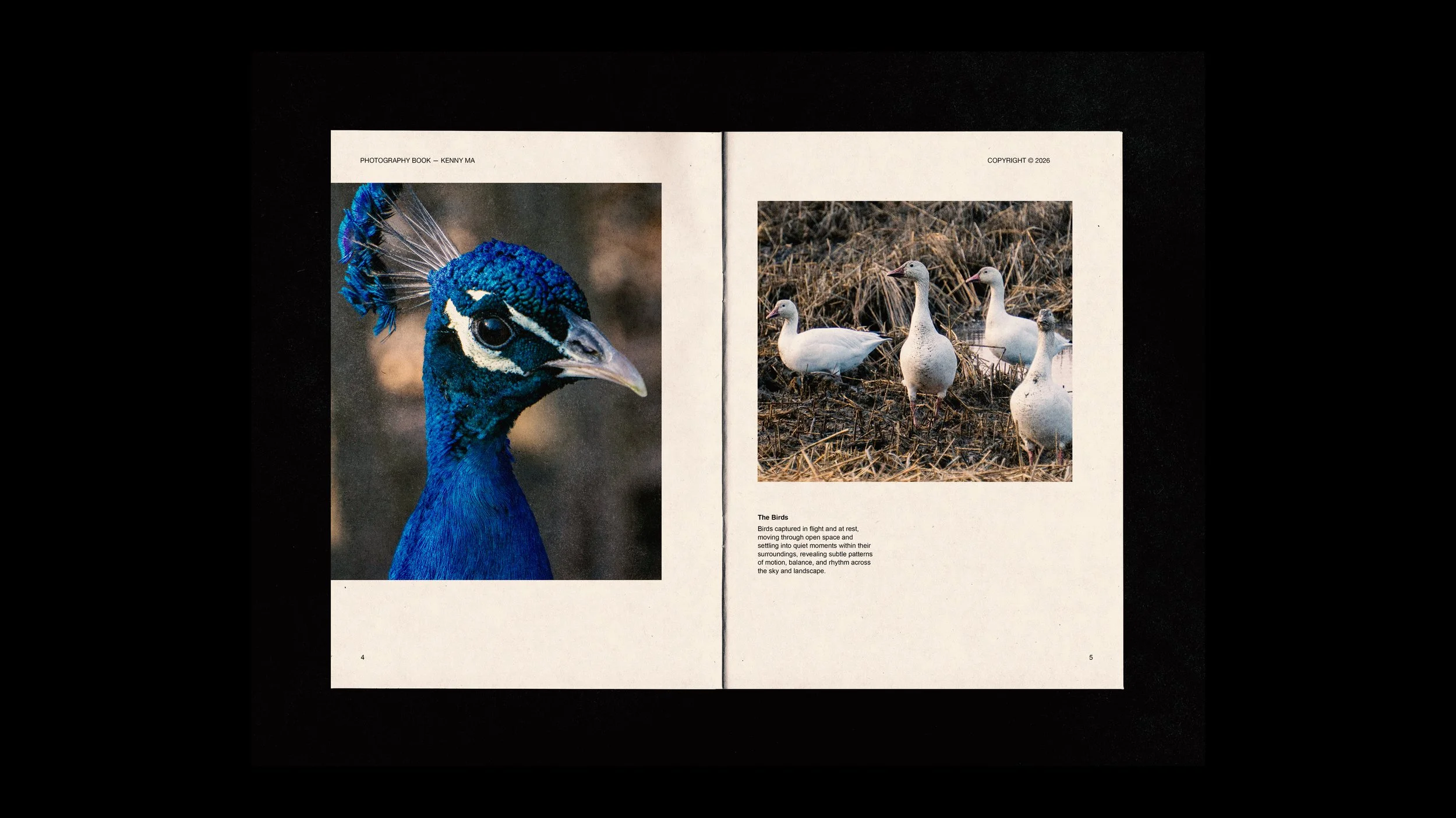 photography book3.jpg