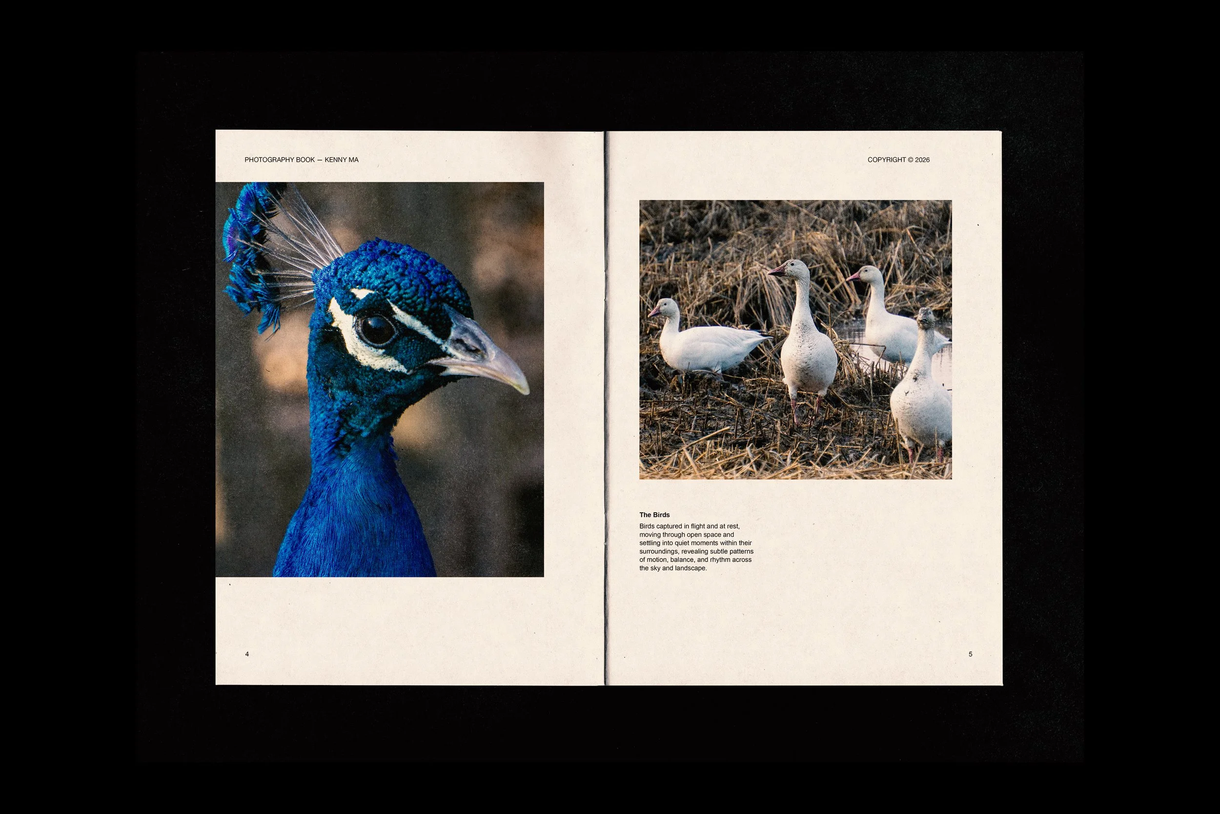 photography book3.jpg