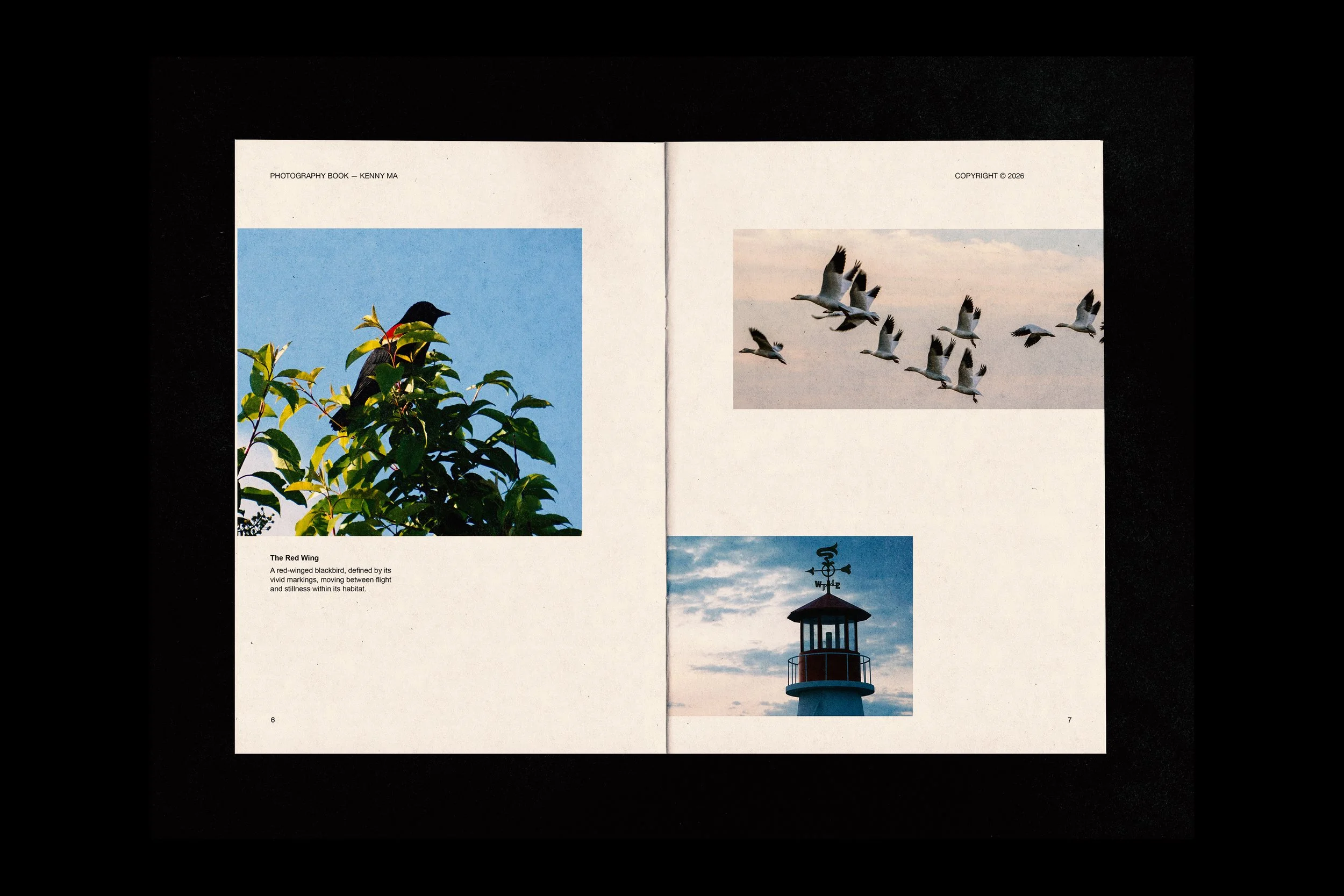 photography book4.jpg