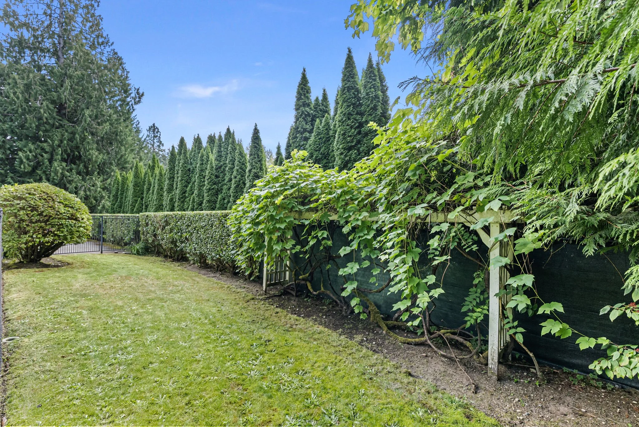 64-web-or-mls-4918-85th-ave.jpg