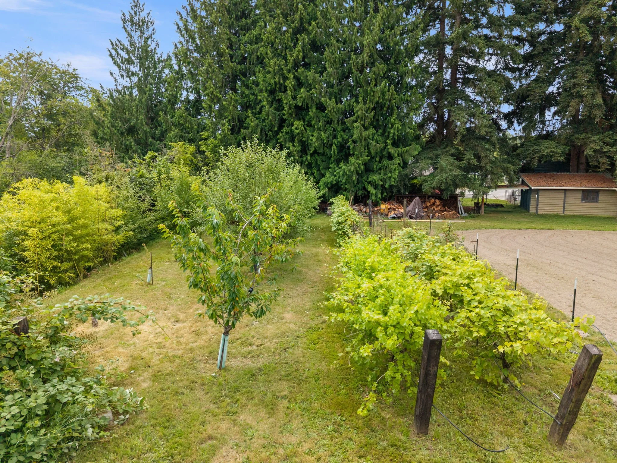 48-web-or-mls-DJI_20260703113259_0695_D.jpg