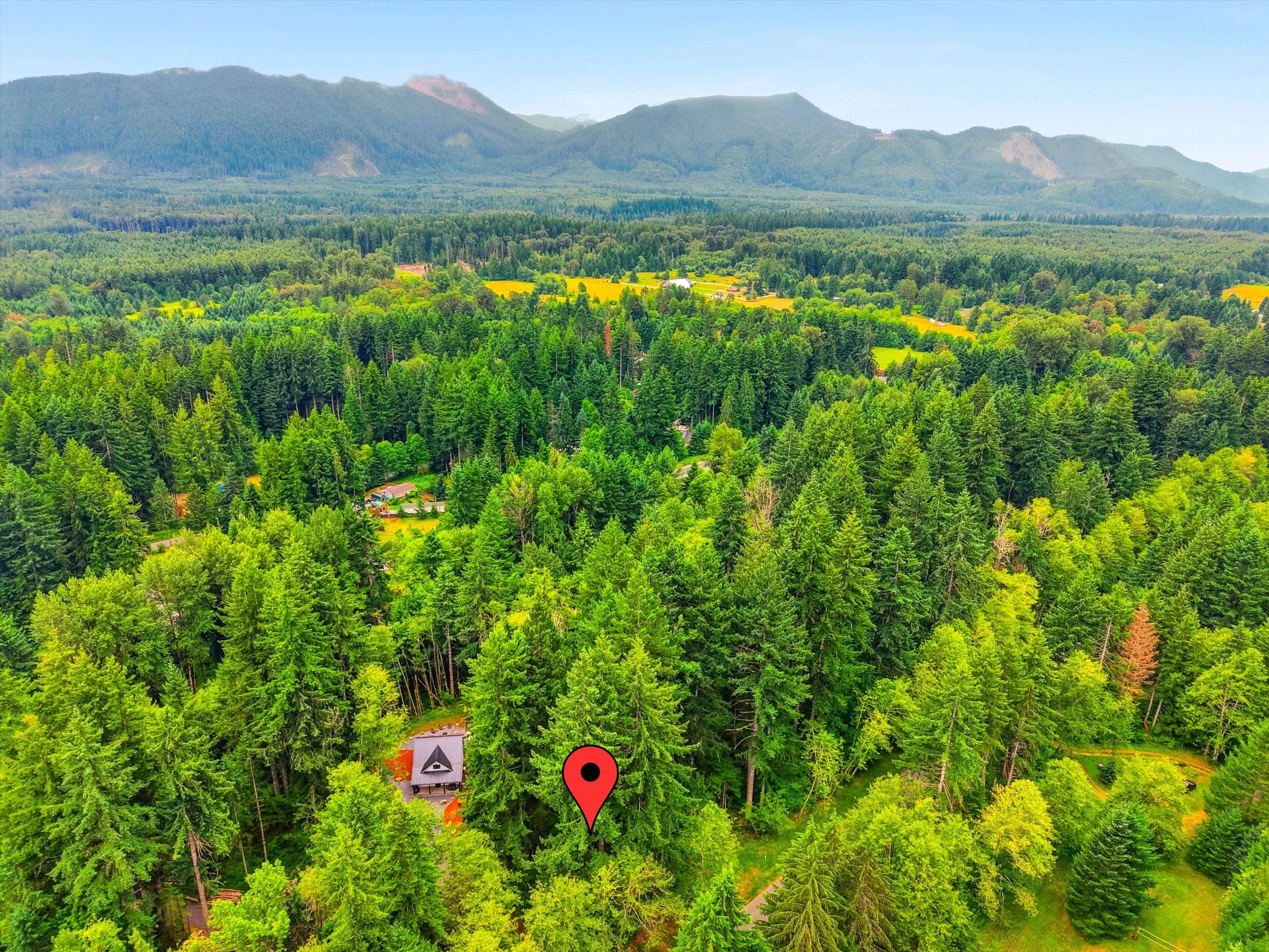 15-DJI_20260723132900_0487_D-.jpg
