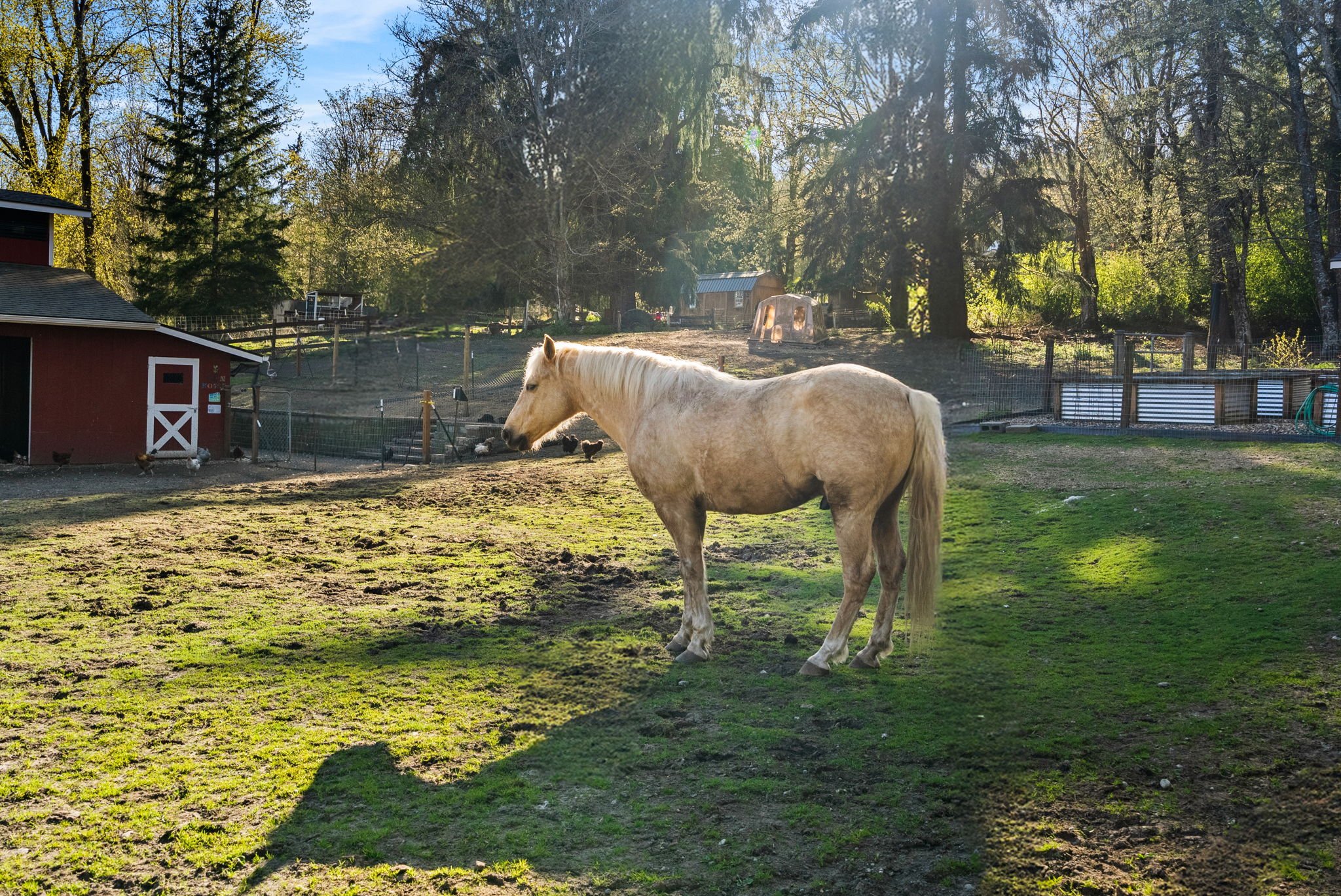 60-web-or-mls-DSC08913.jpg