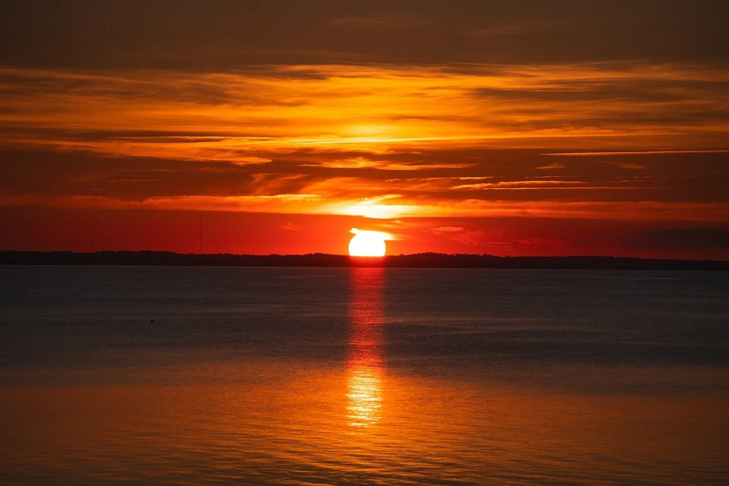 Oh, Orange Sun ☀️

📸 Sony A7III
🔬 Sony 70-200 f2.8 GM II
&bull;
&bull;
&bull;
&bull;
#AGameOfTones#VisualArchitects#Fatalframes#Gearednomad#Rsa_Streetview#StreetDreamsMag#UrbanAndStreet#UsaPrimeShot#Main_Vision#ArtOfVisuals #CreateExplore#HighSnobi