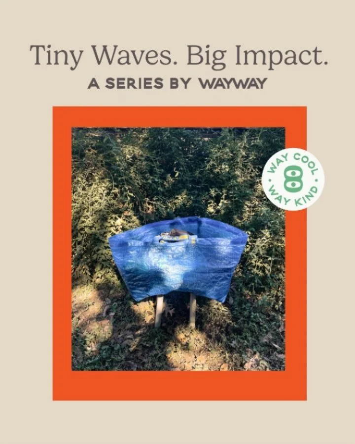 Introducing our Tiny Waves series! 🌊

At WAYWAY we&rsquo;re thinking about small ways we can impact the world around us. This week we&rsquo;re taking on Halloween costume waste&hellip; 👻
