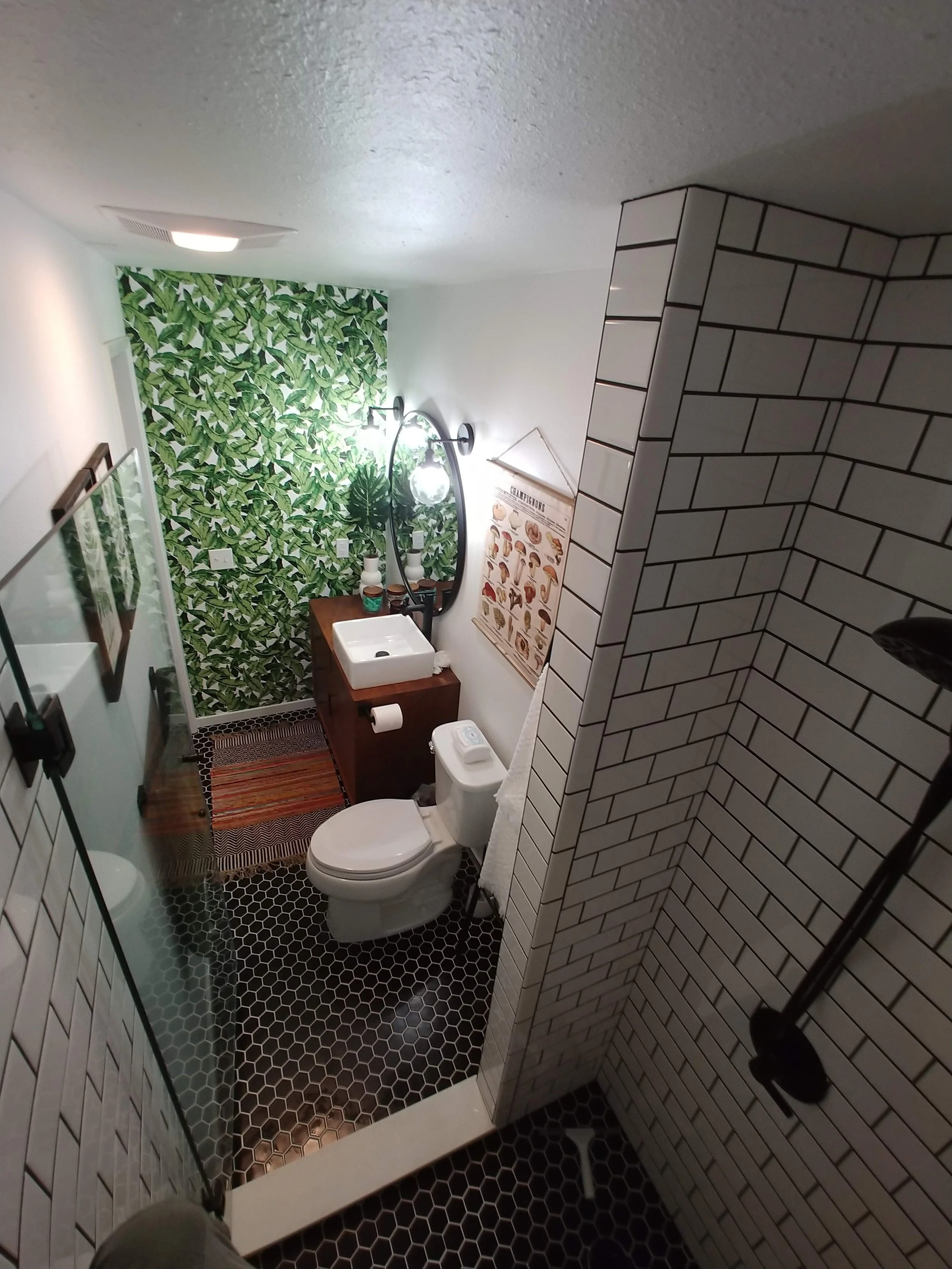 Renton Bathroom Addition 2.jpg