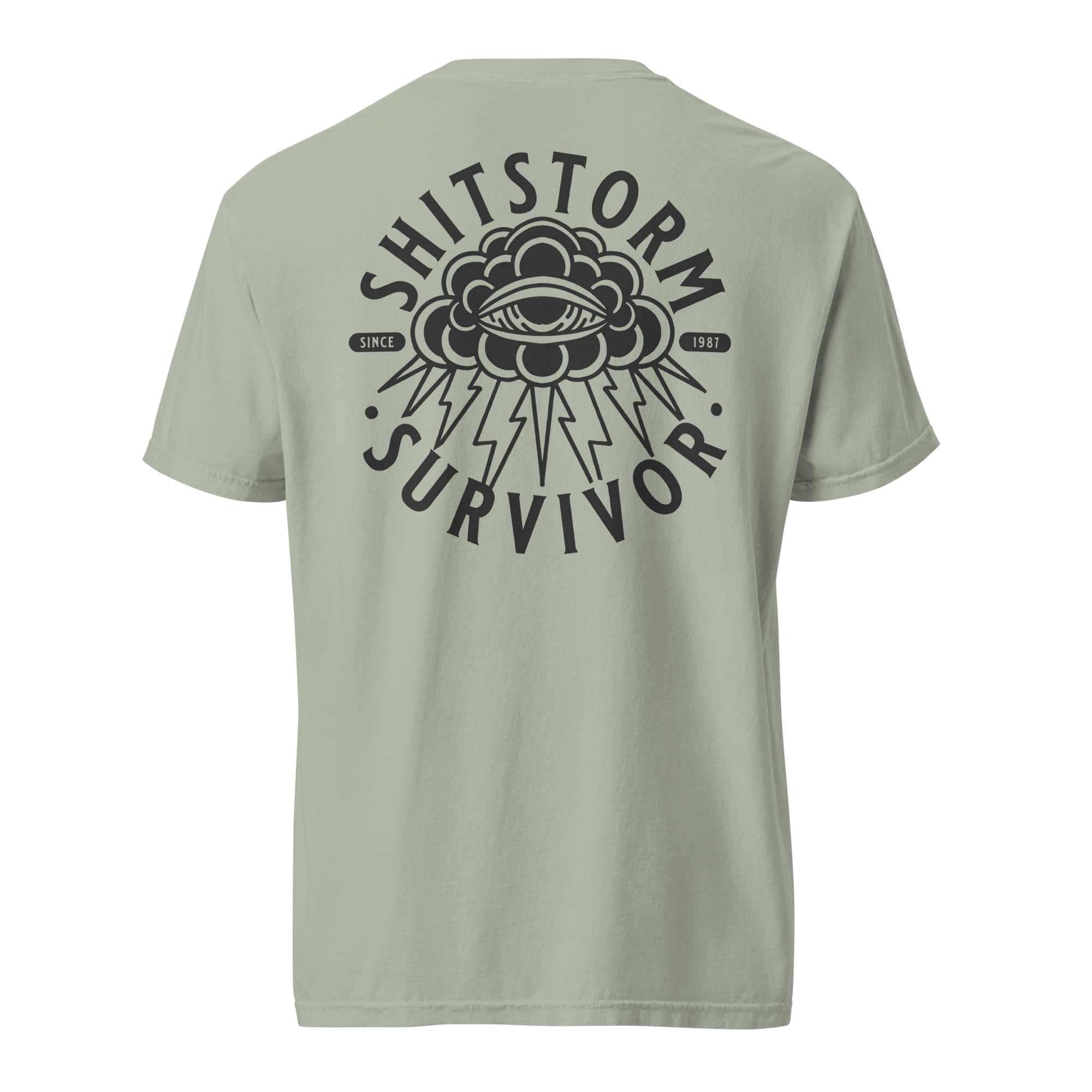 unisex-garment-dyed-heavyweight-t-shirt-bay-back-69ece5e9bcf44.png