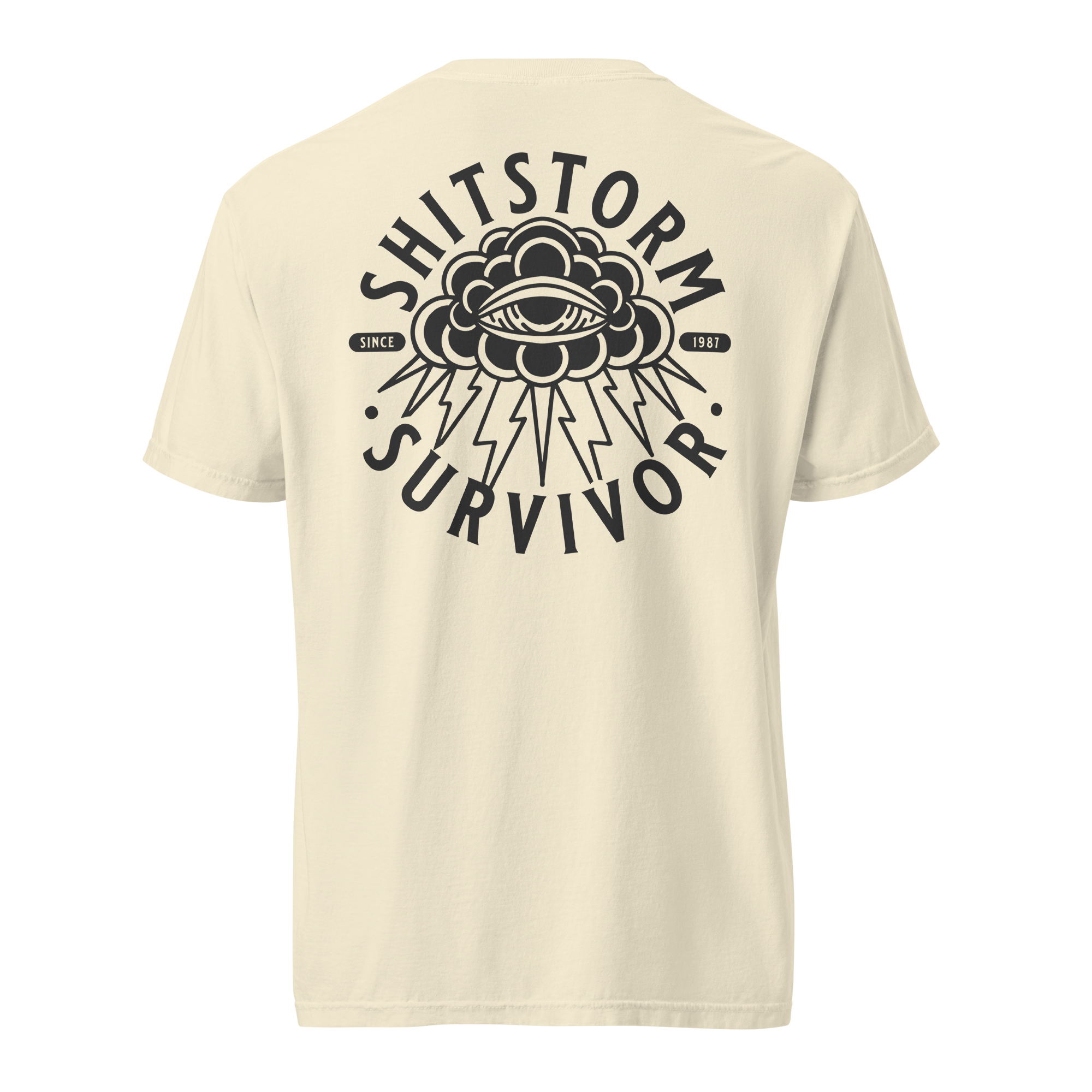 unisex-garment-dyed-heavyweight-t-shirt-ivory-back-69ece5e9bd292.png