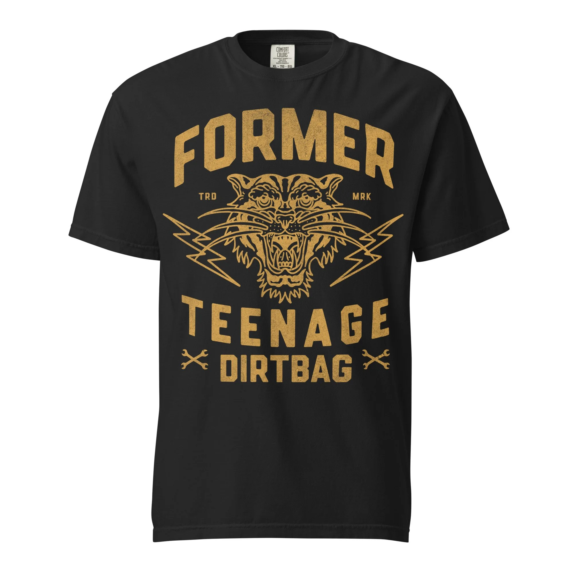 Former Teenage Dirtbag Tee