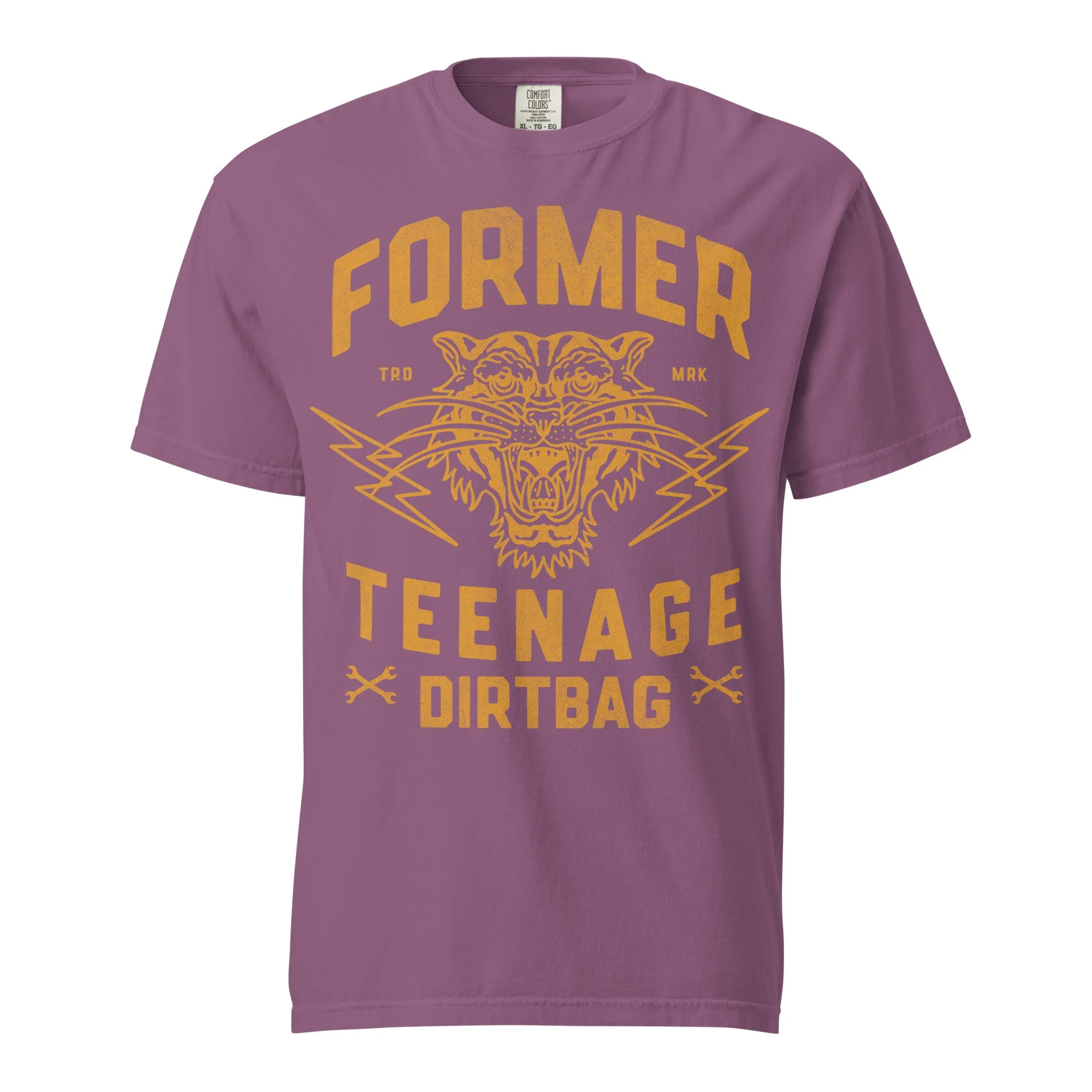 Former Teenage Dirtbag Tee