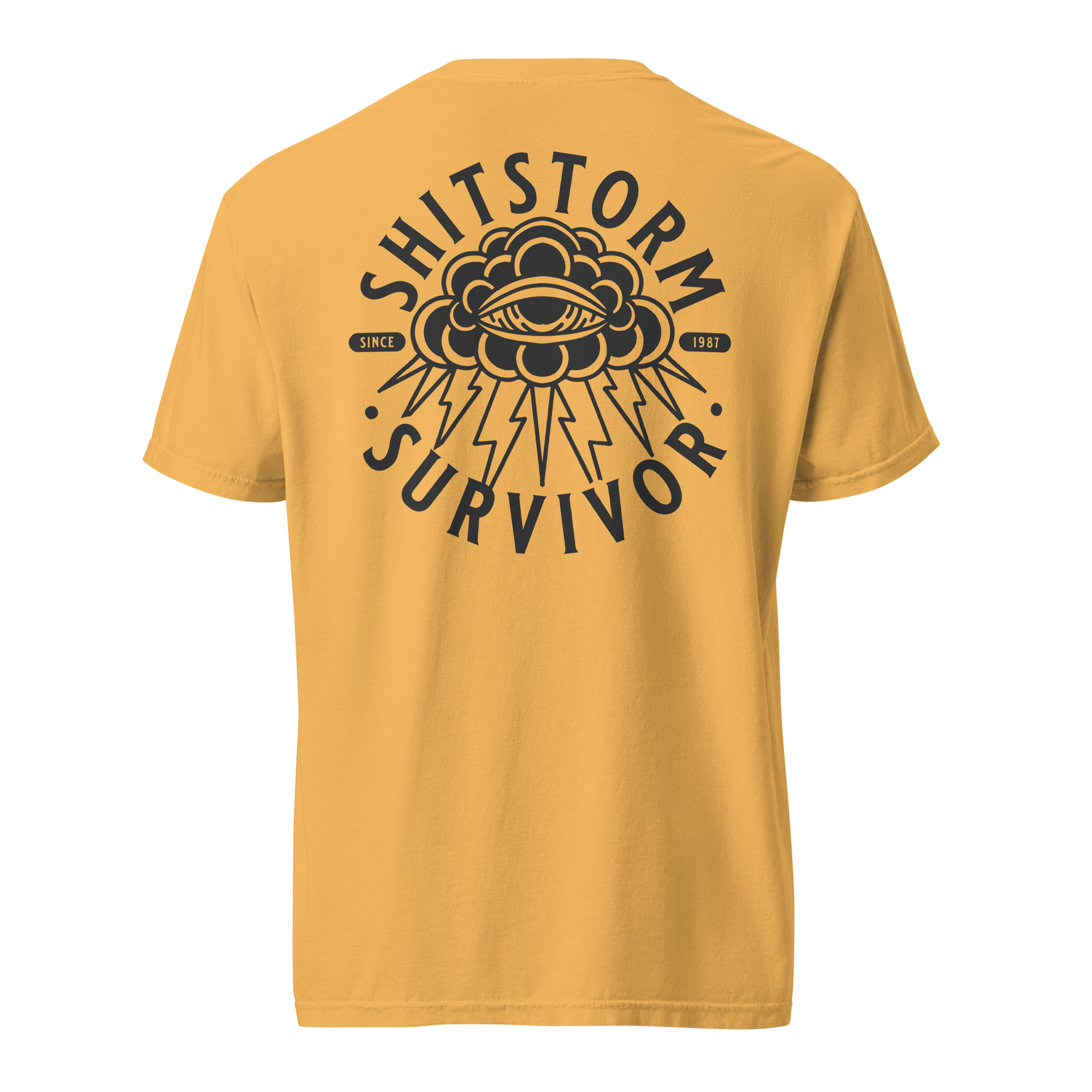 unisex-garment-dyed-heavyweight-t-shirt-mustard-back-69ece5e9bd6e0.png