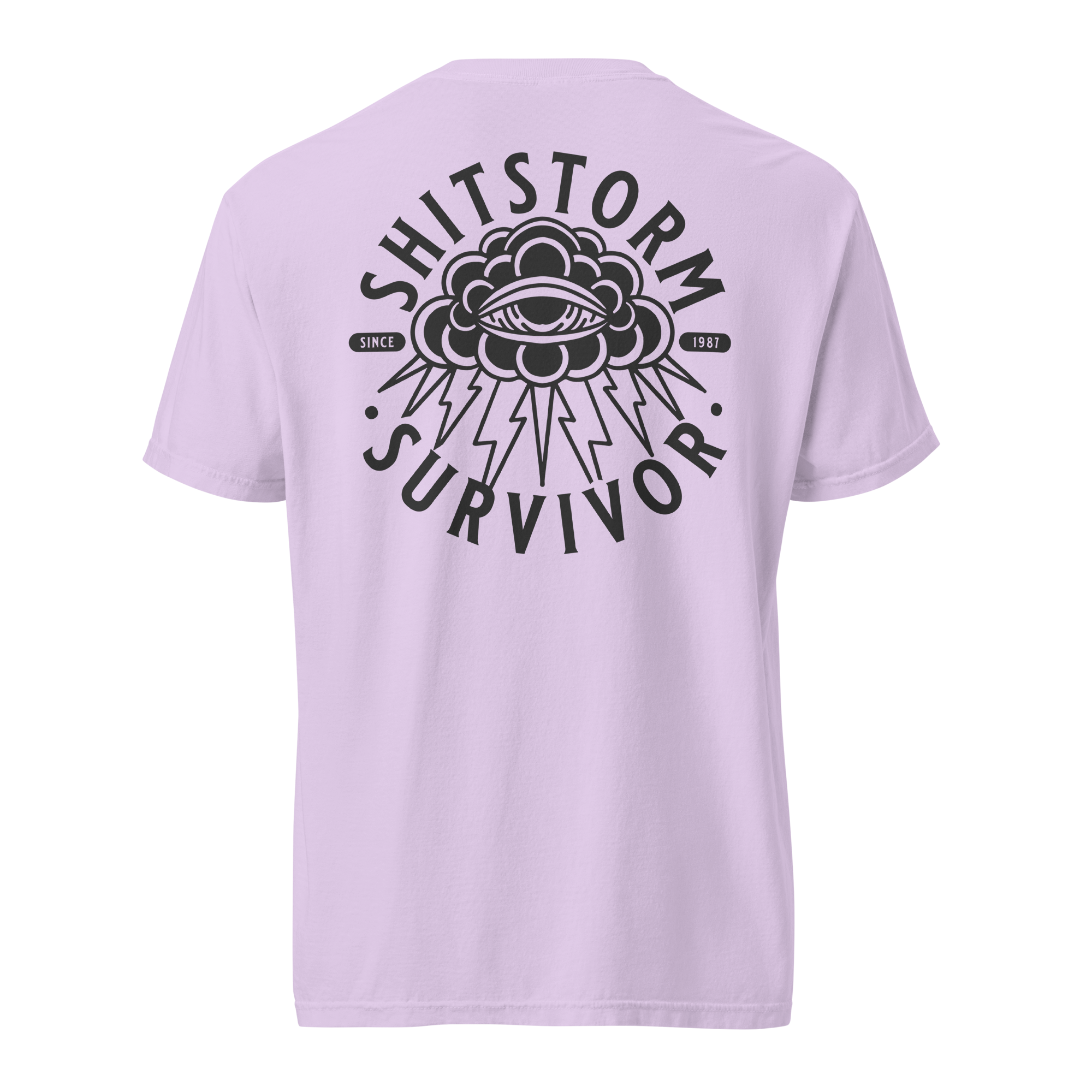unisex-garment-dyed-heavyweight-t-shirt-orchid-back-69ece5e9bd483.png