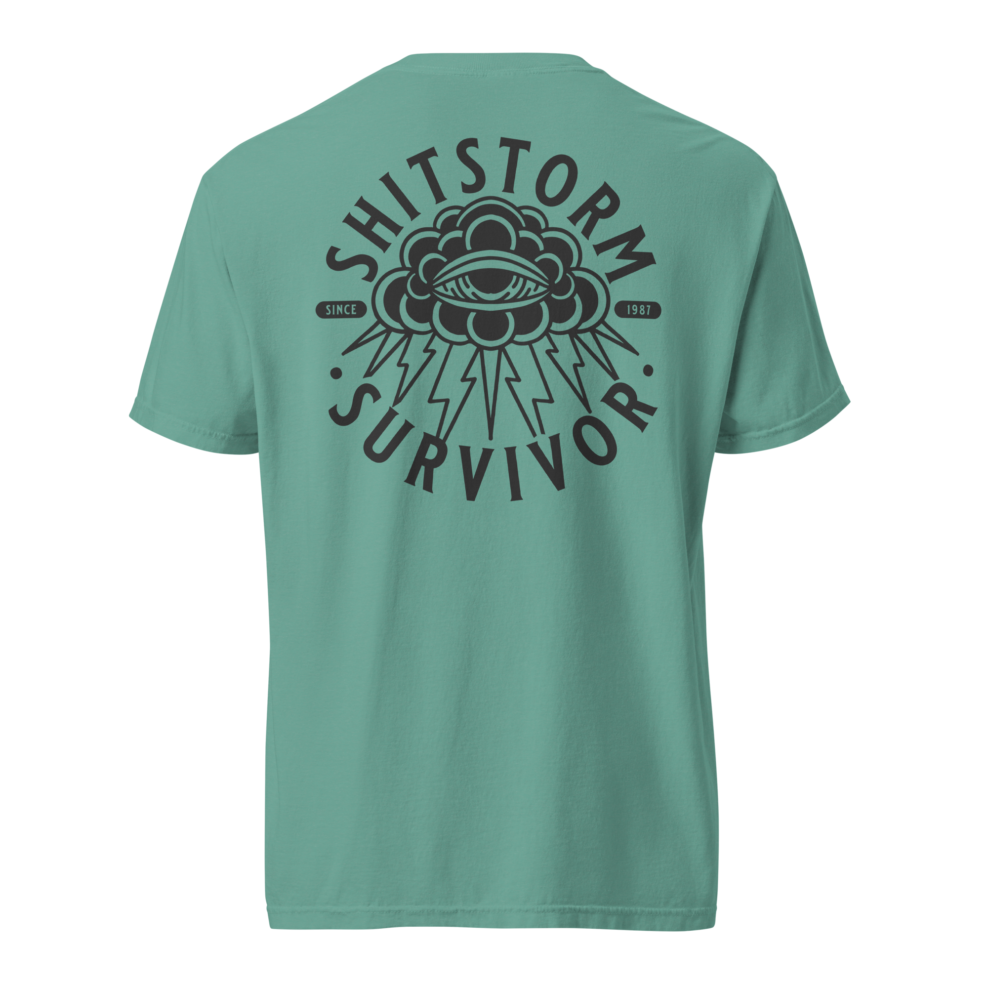 unisex-garment-dyed-heavyweight-t-shirt-seafoam-back-69ece5e9bd390.png