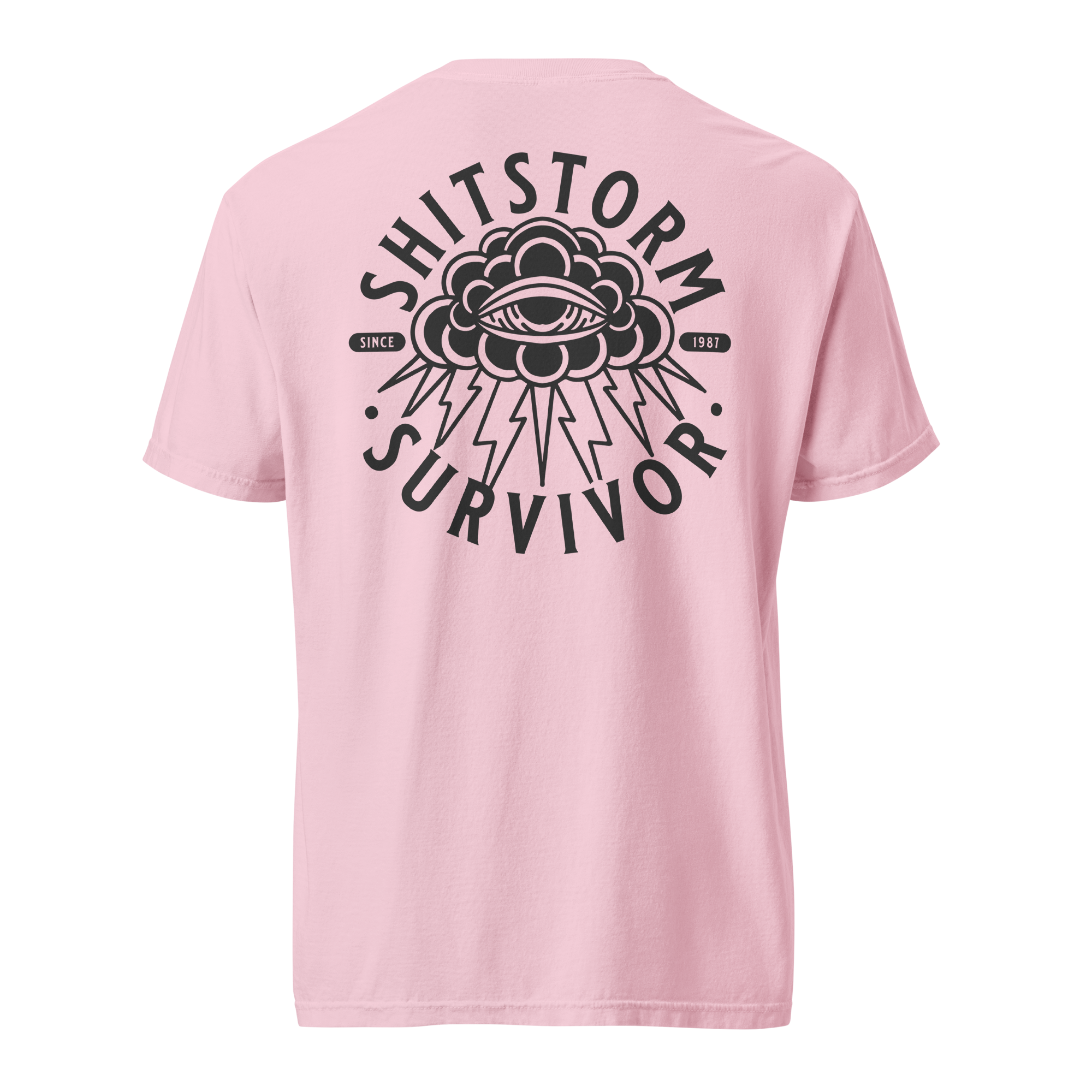 unisex-garment-dyed-heavyweight-t-shirt-blossom-back-69ece5e9bd18b.png