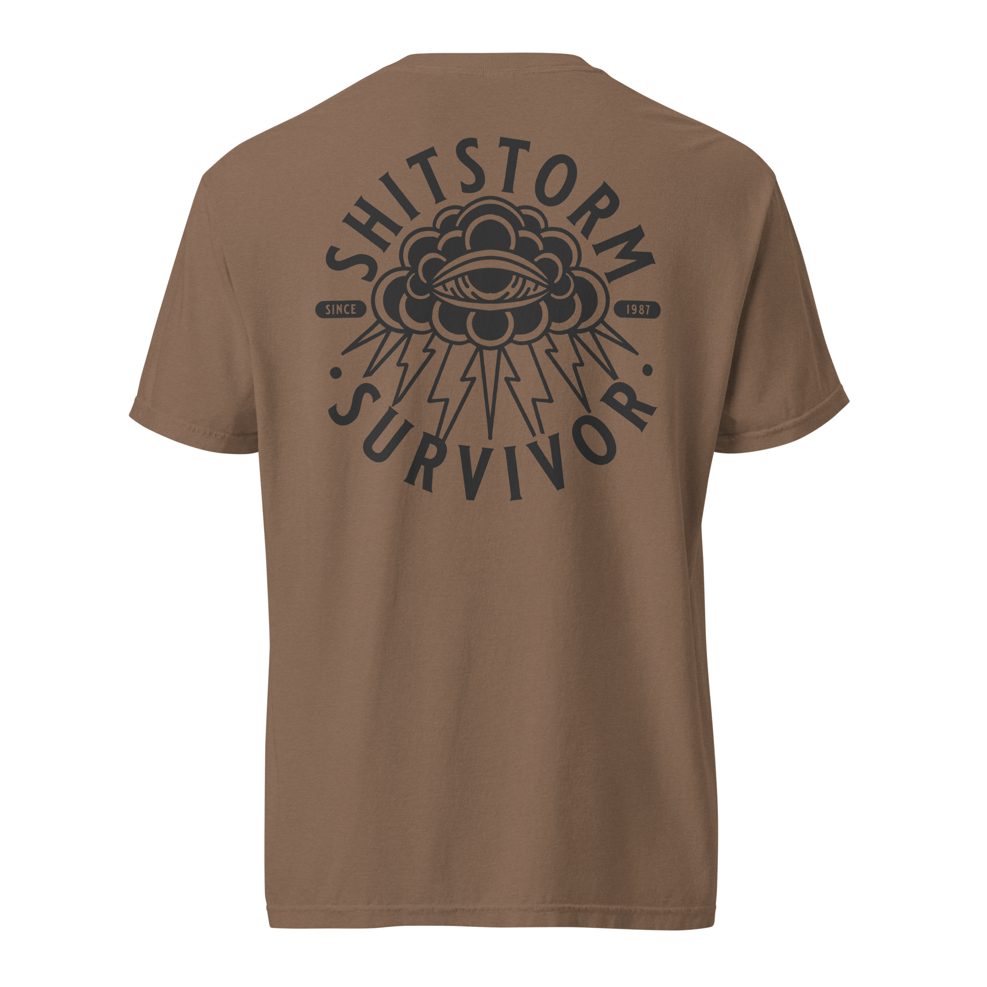 unisex-garment-dyed-heavyweight-t-shirt-espresso-back-69ece5e9bd4f8.png