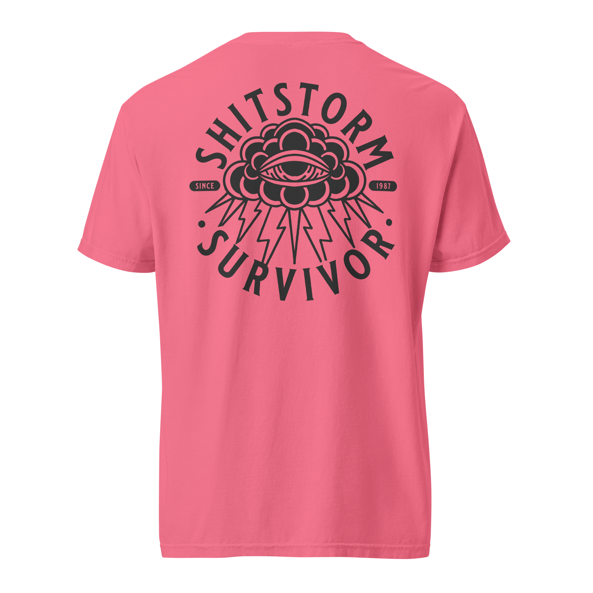 unisex-garment-dyed-heavyweight-t-shirt-crunchberry-back-69ece5e9bd573.png