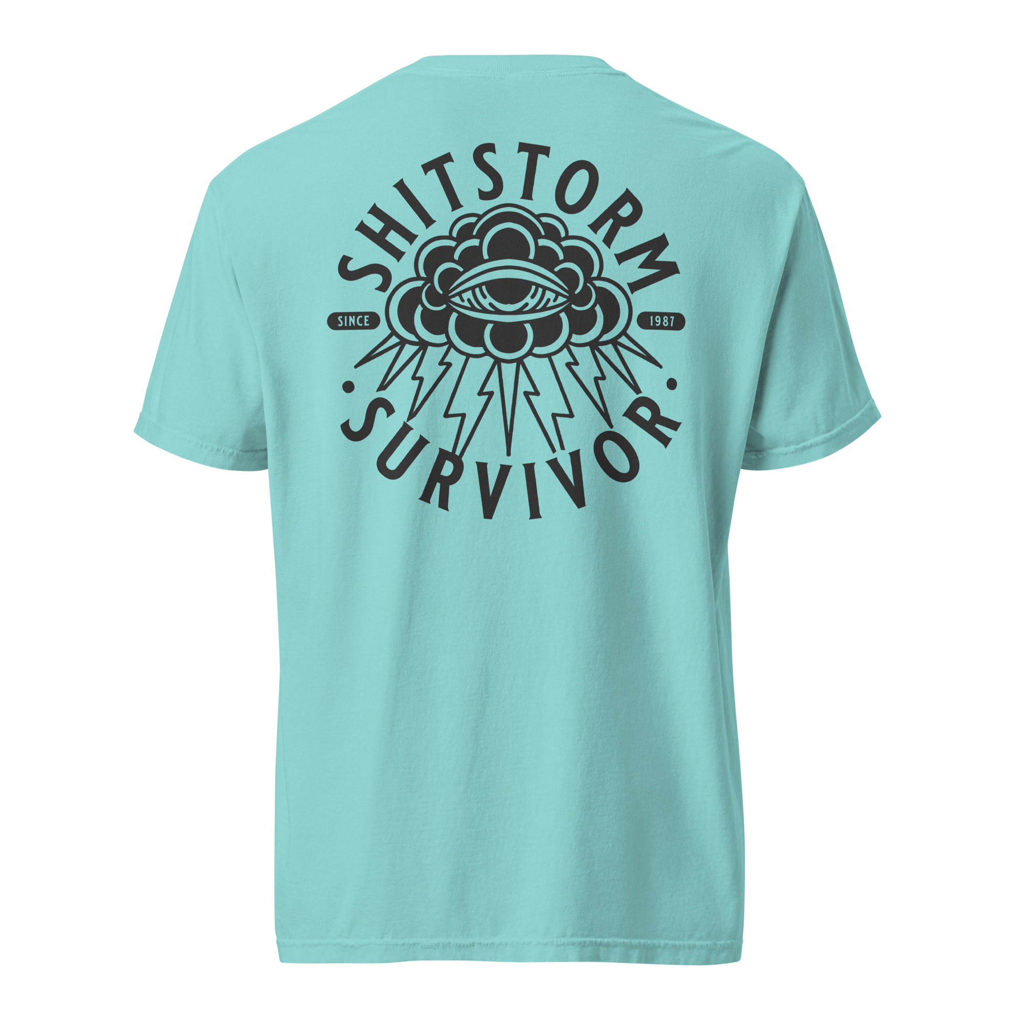 unisex-garment-dyed-heavyweight-t-shirt-lagoon-blue-back-69ece5e9bd315.png