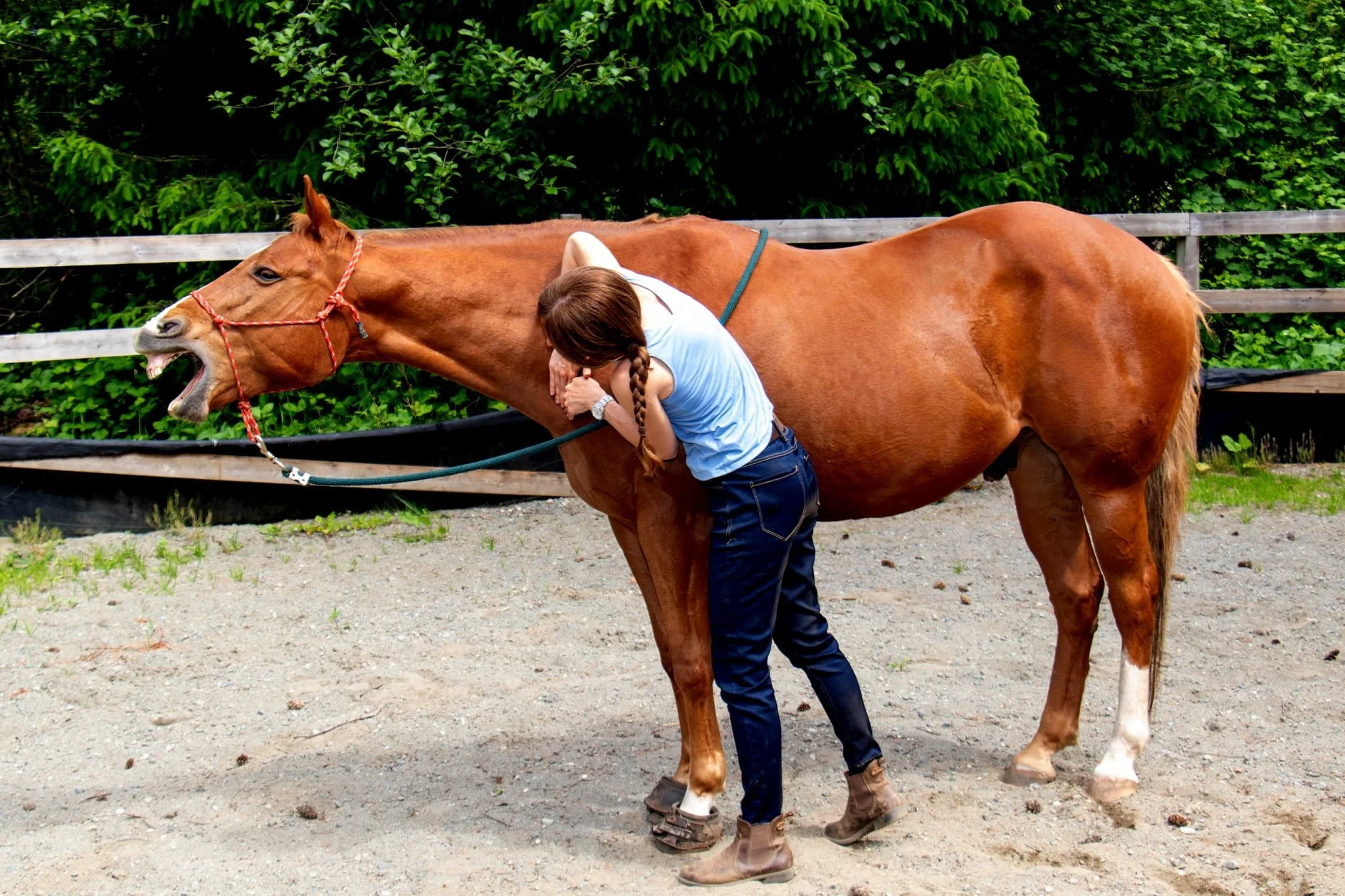 Roam Spring 2021.jpg