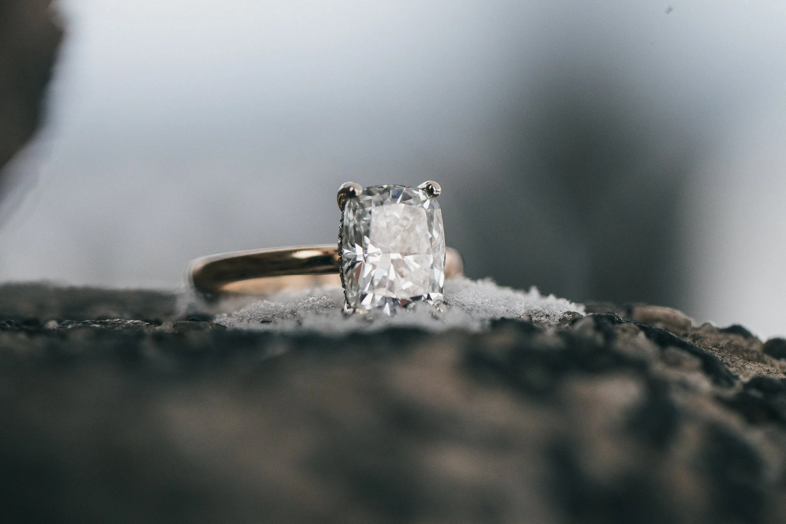 Taylo & Fraser-44.jpg