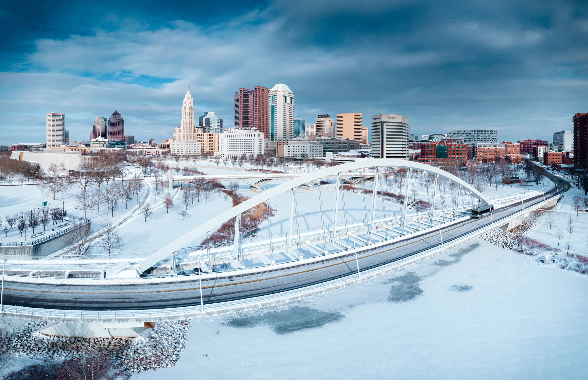 Storm Fern 11 x 17.jpg