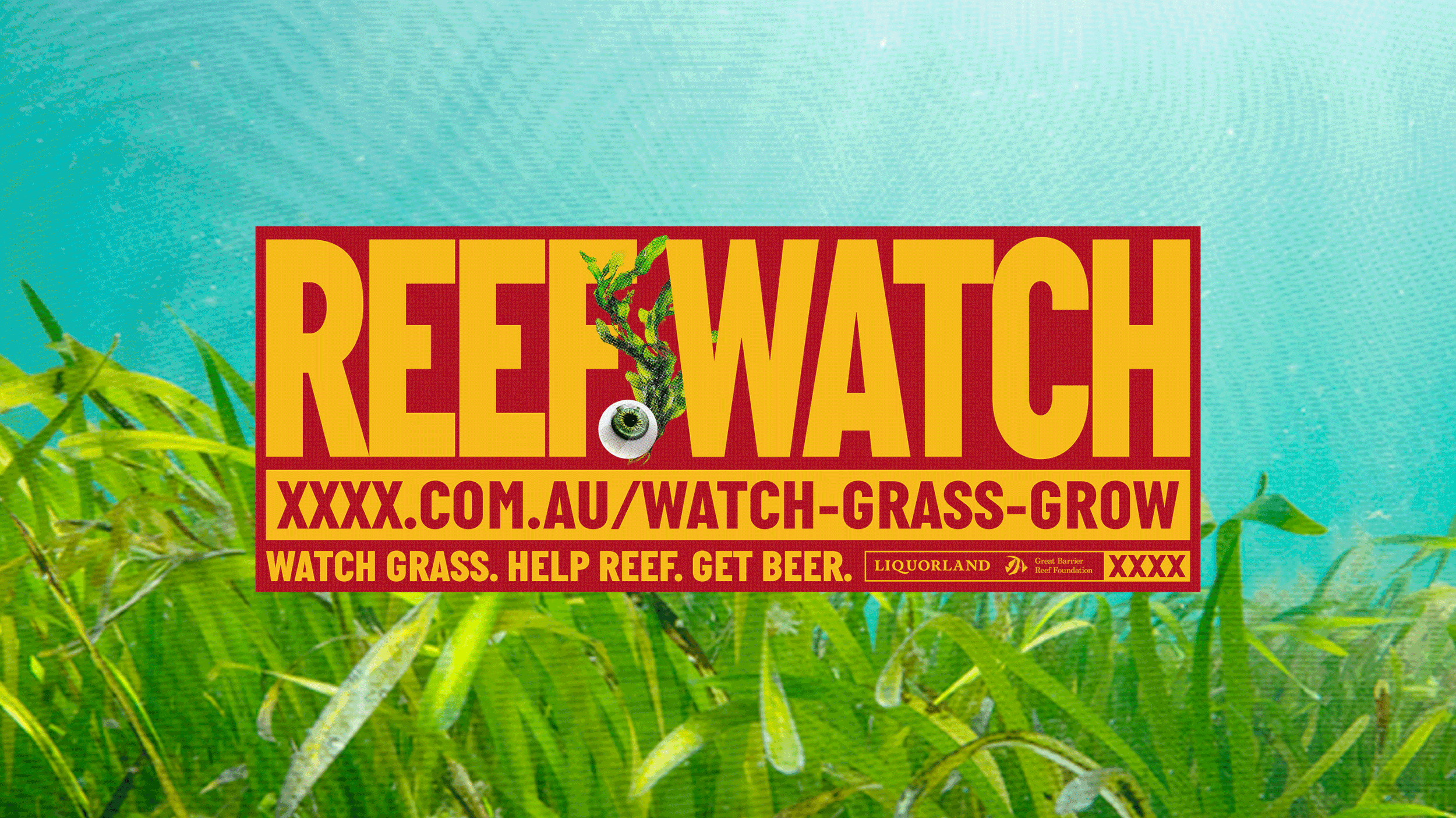 XXXX – Reef Watch
