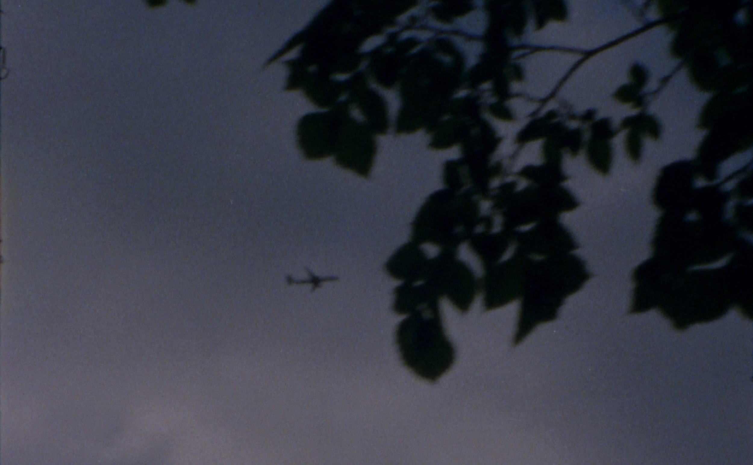 Screen Shot 2024-01-23 at 1.21.49 AM.png