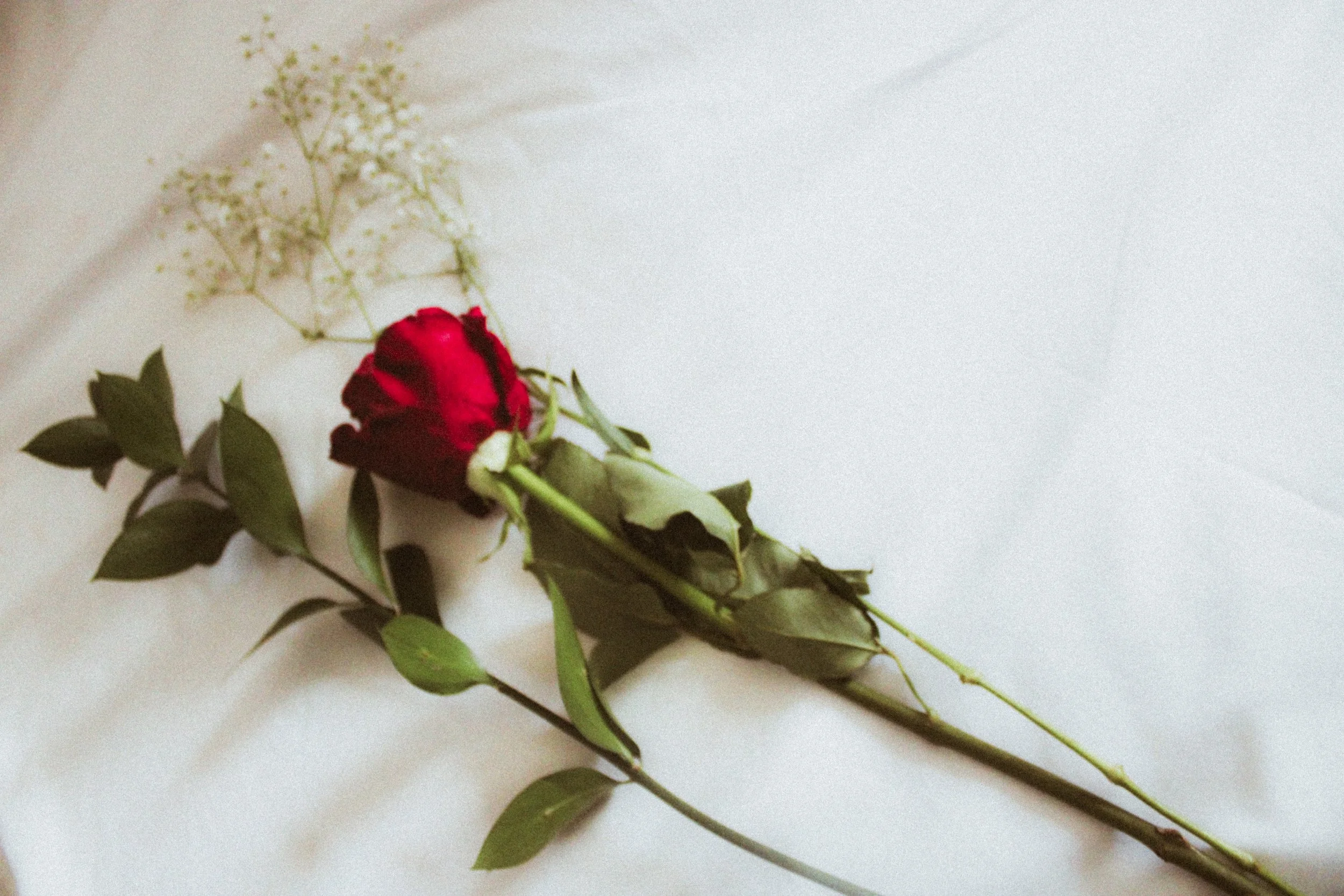 Dating In Atlanta: 10 Spots She’ll Fall In Love With!