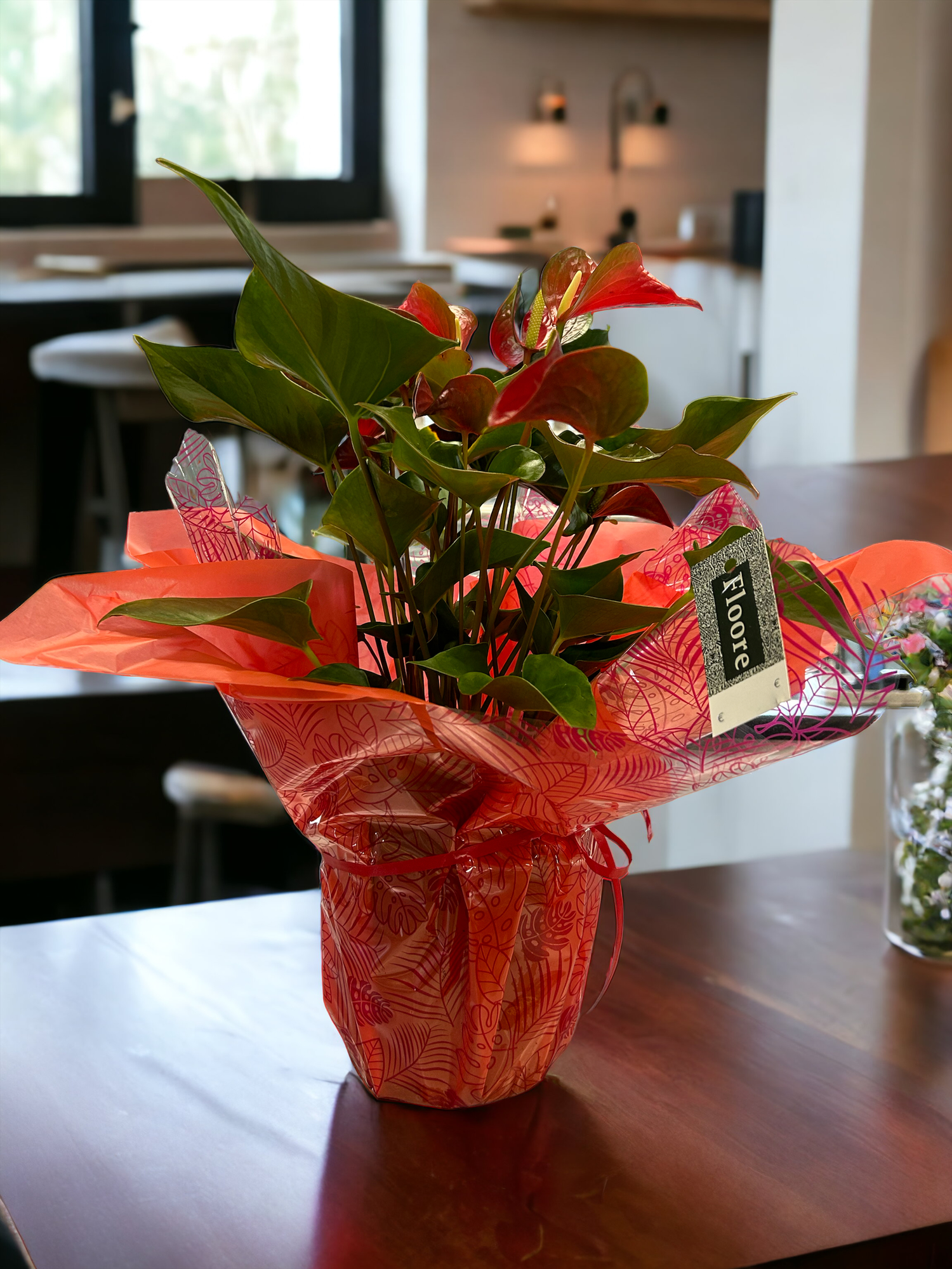 Anthurium Andraeanum  Floore